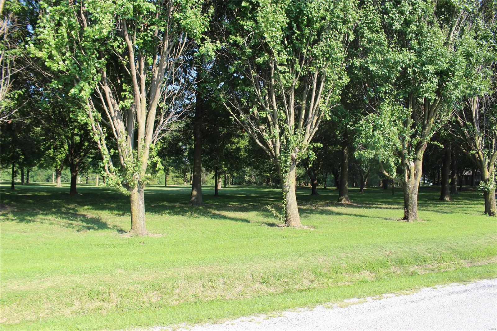 13295 Lee Road Trenton, IL 62293 - Photo 2 of 3 Gallery Image 2