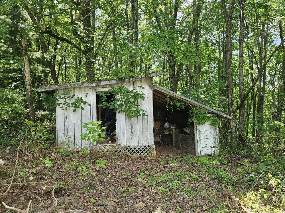 5618 Ellison Ridge Road Jumping Branch, WV 25969 - Photo 18 of 39 Gallery Image 18