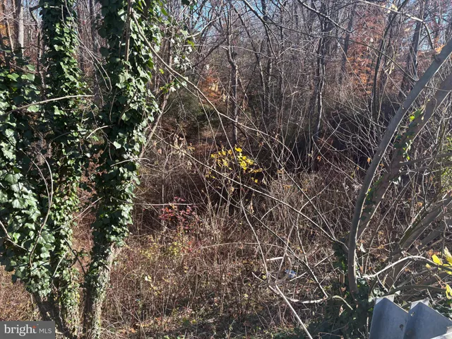 a backyard of a house with lots of trees