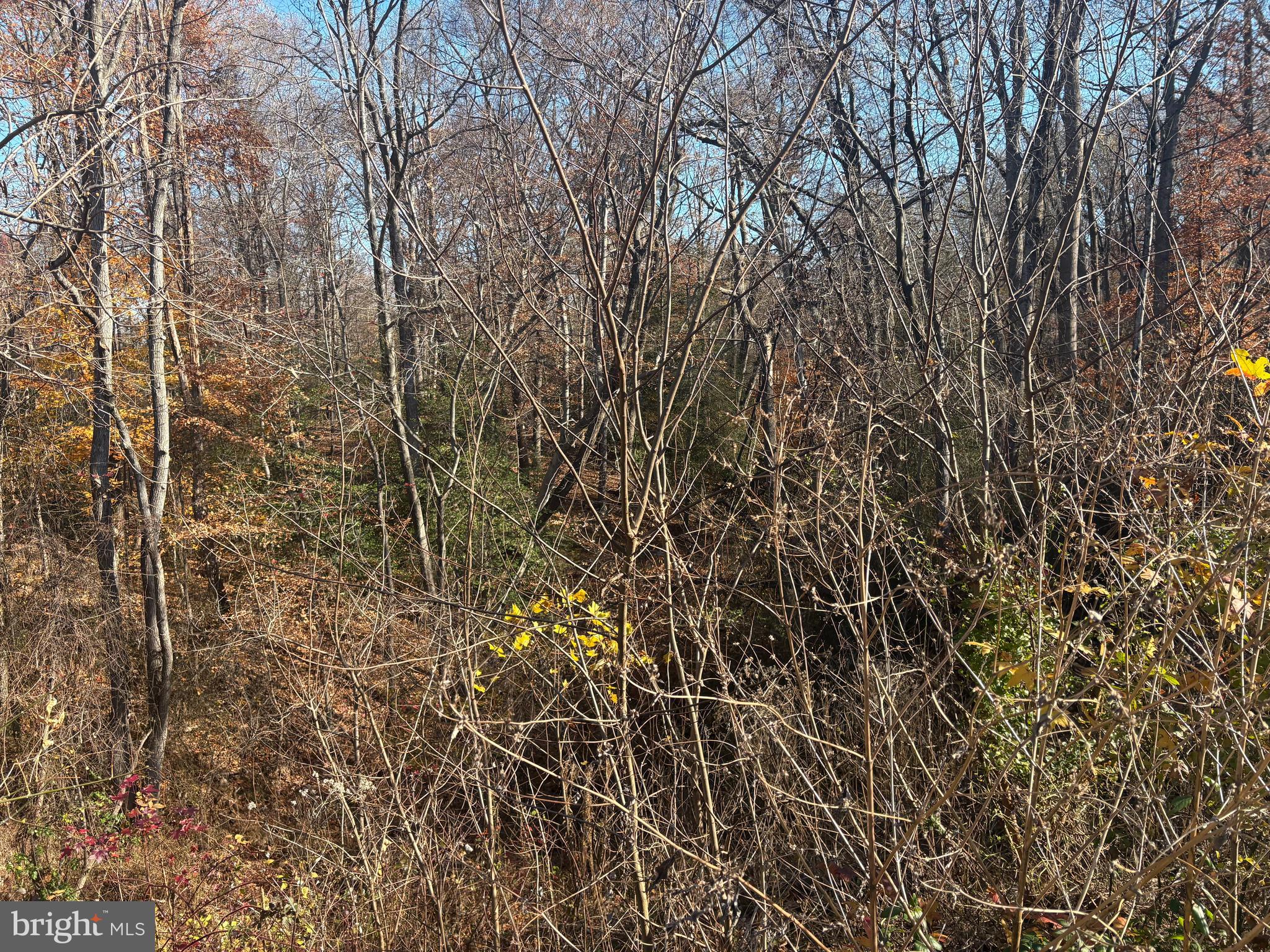 981 Ritchie Highway Arnold, MD 21012 - Photo 4 of 4