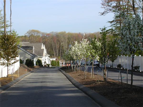 503 Redtail Way Lancaster, MA 01523 - Photo 7 of 16 Gallery Image 7