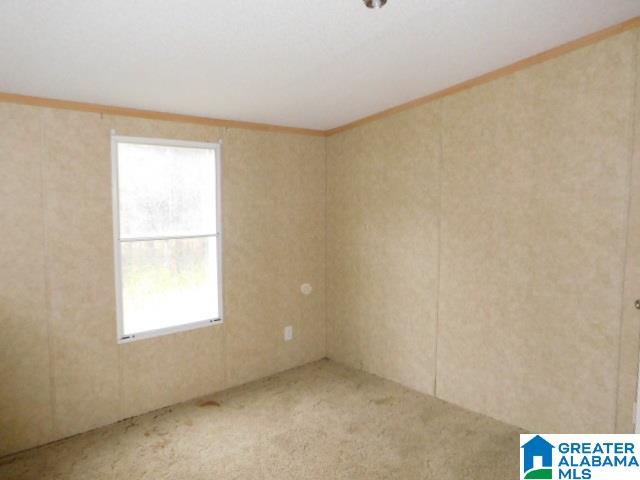 3253 Logan Martin Dam Road Vincent, AL 35178 - Photo 10 of 10