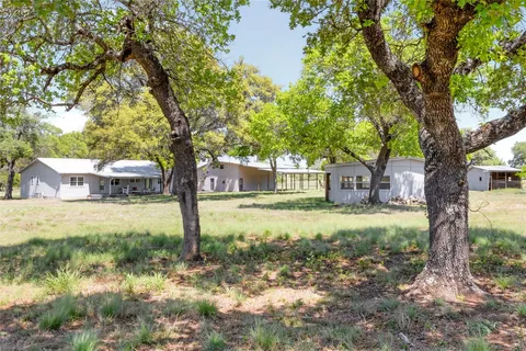a view of backyard with large trees and plants