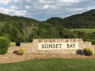 575 Russell Brothers Road Sharps Chapel, TN 37866 - Photo 16 of 16 sunset bay entrance