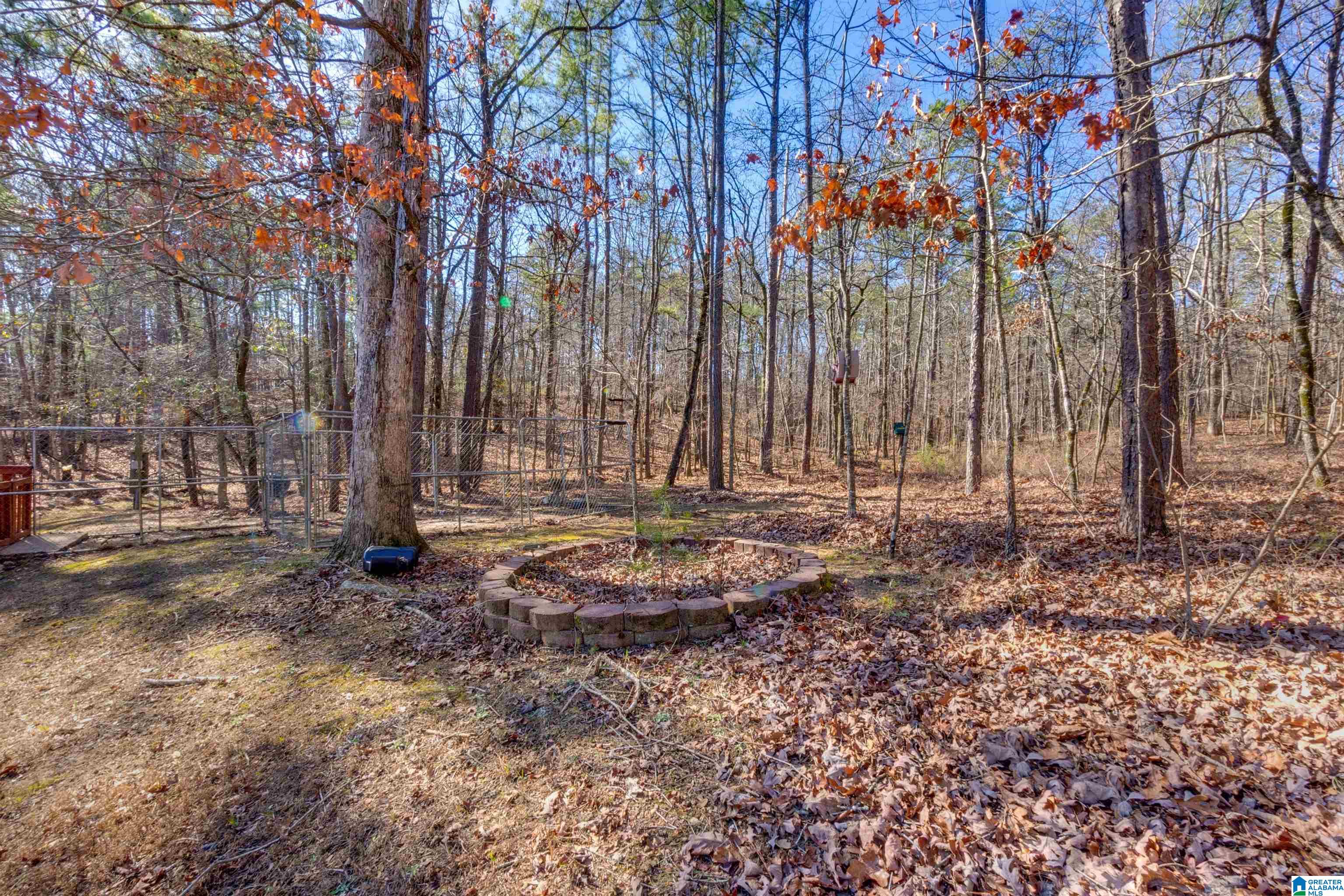 900 County Road 772 Montevallo, AL 35115 - Photo 44 of 58
