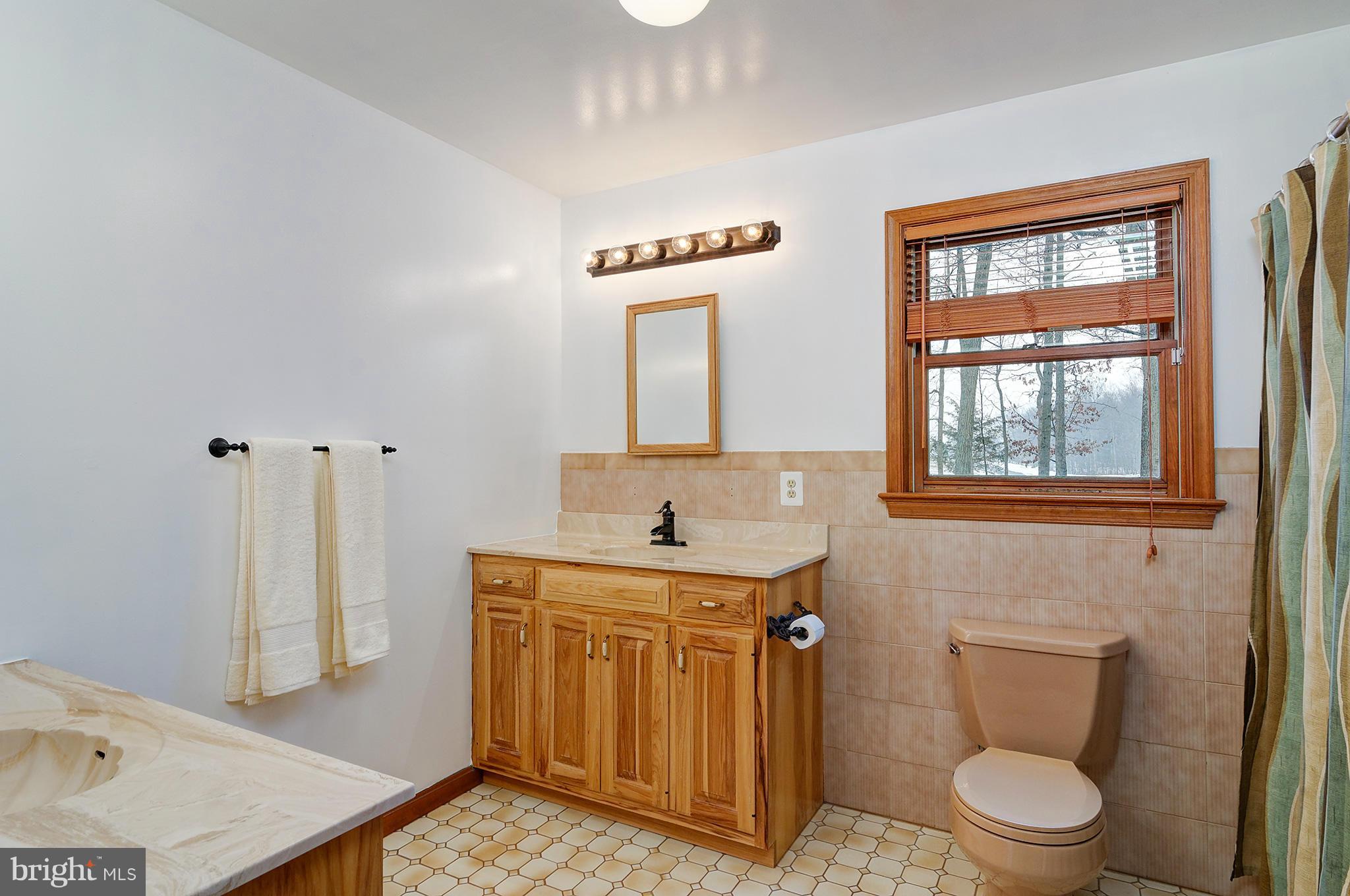 20705 Evergreen Mills Road Leesburg, VA 20175 - Photo 13 of 25 Bath (Master)