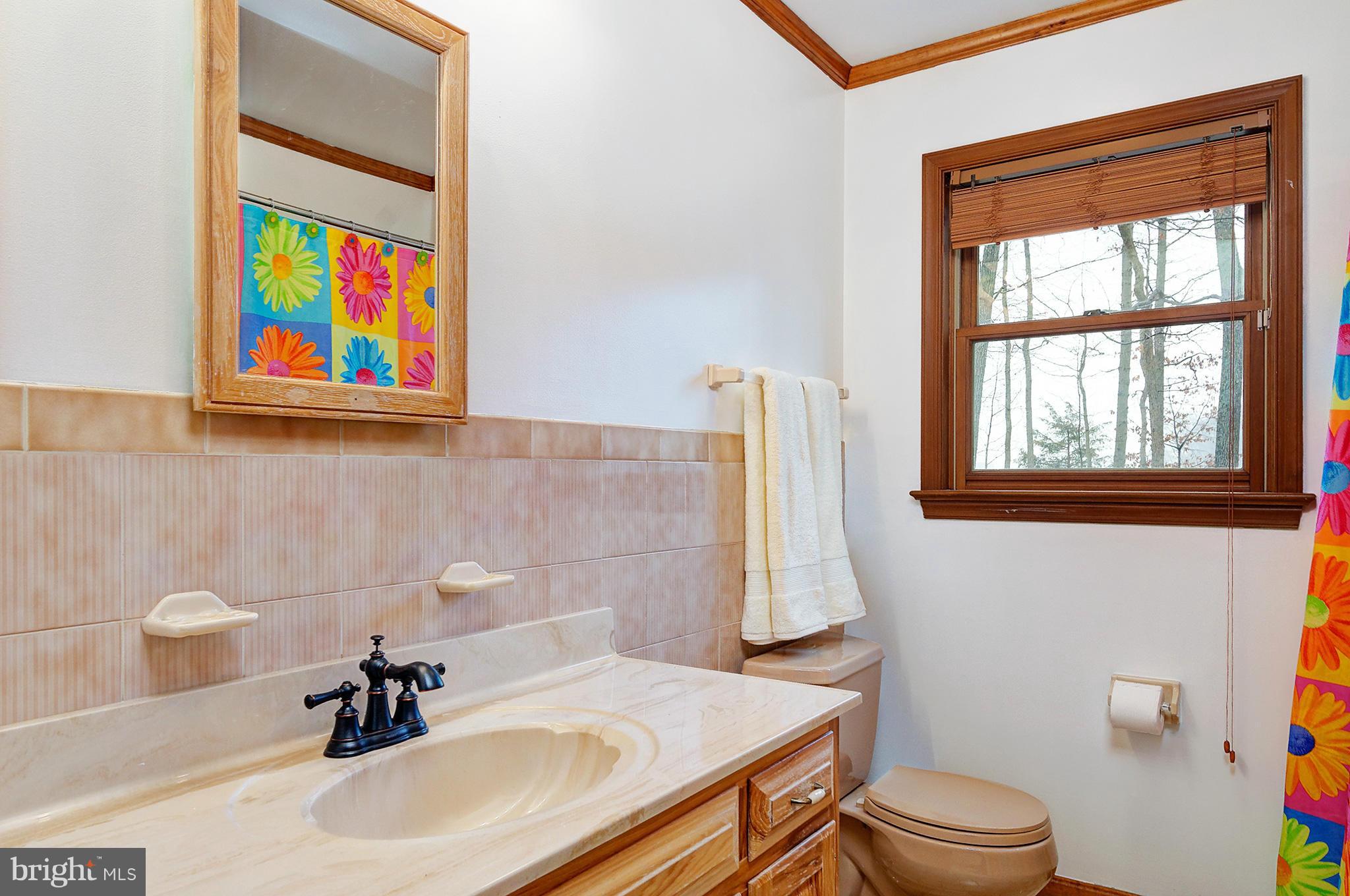 20705 Evergreen Mills Road Leesburg, VA 20175 - Photo 15 of 25 Bath