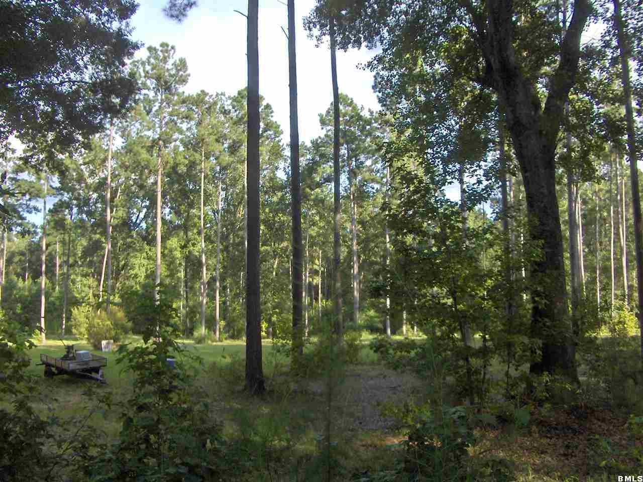 2447 Langfordville Road Ridgeland, SC 29936 - Photo 1 of 16 Primary Photo