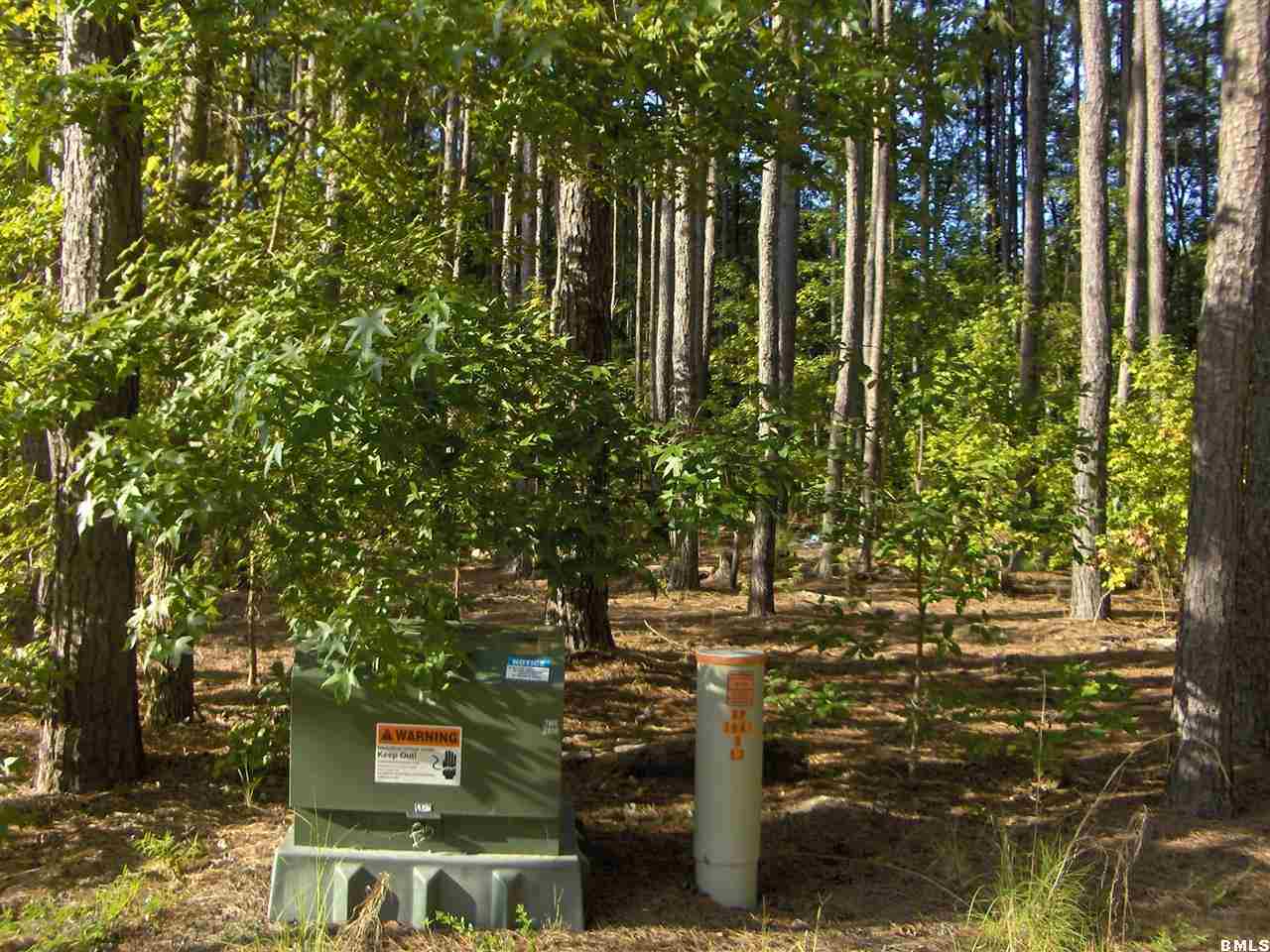 2447 Langfordville Road Ridgeland, SC 29936 - Photo 14 of 16 Additional Photo