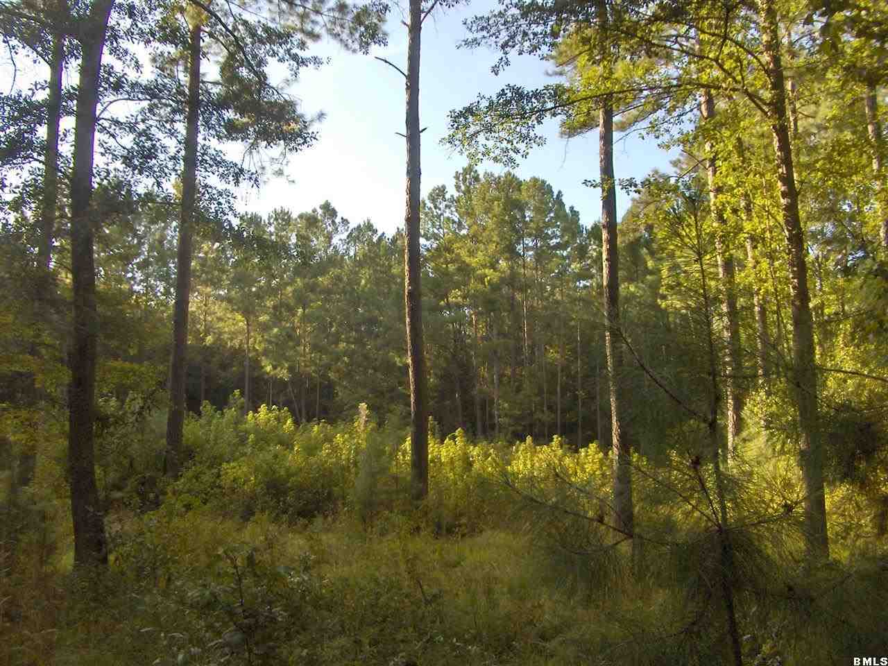2447 Langfordville Road Ridgeland, SC 29936 - Photo 2 of 16 Additional Photo