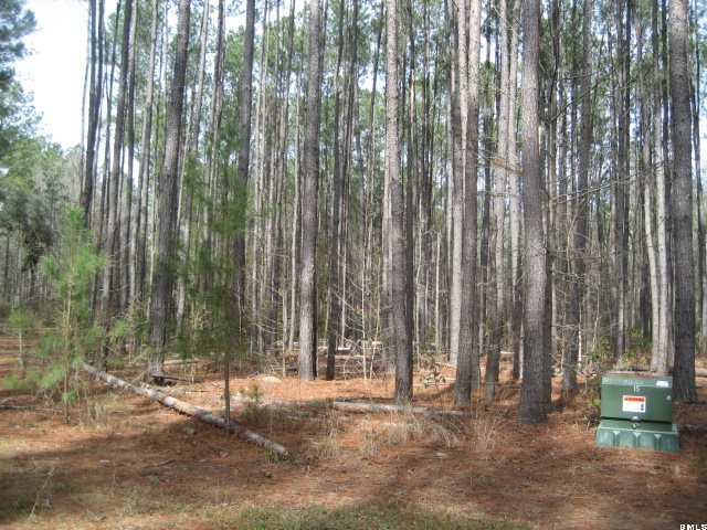 2447 Langfordville Road Ridgeland, SC 29936 - Photo 10 of 16 Additional Photo