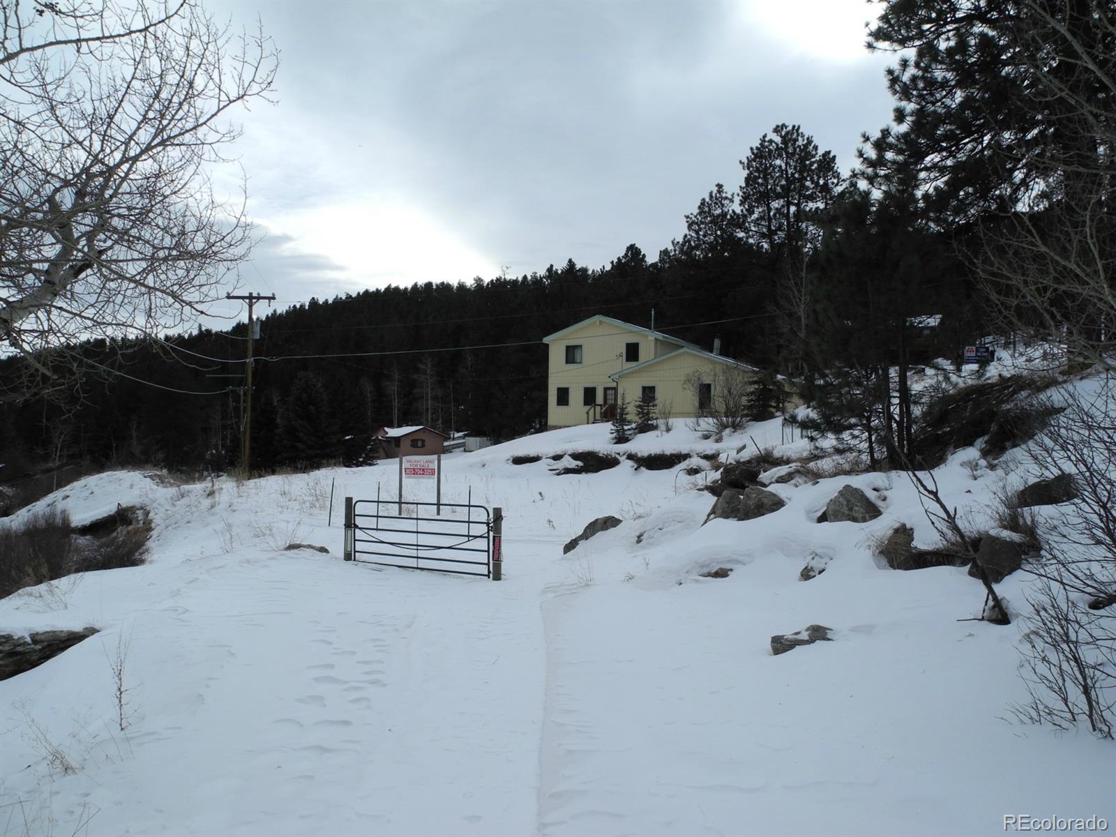29542 Spruce Road Evergreen, CO 80439 - Photo 1 of 1 Gallery Image 1