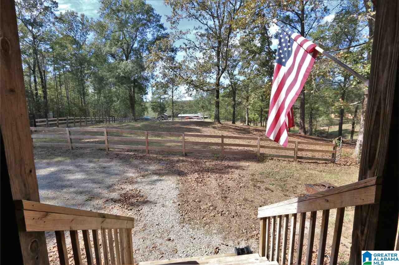 8460 Wolf Creek Road South Pell City, AL 35128 - Photo 4 of 49