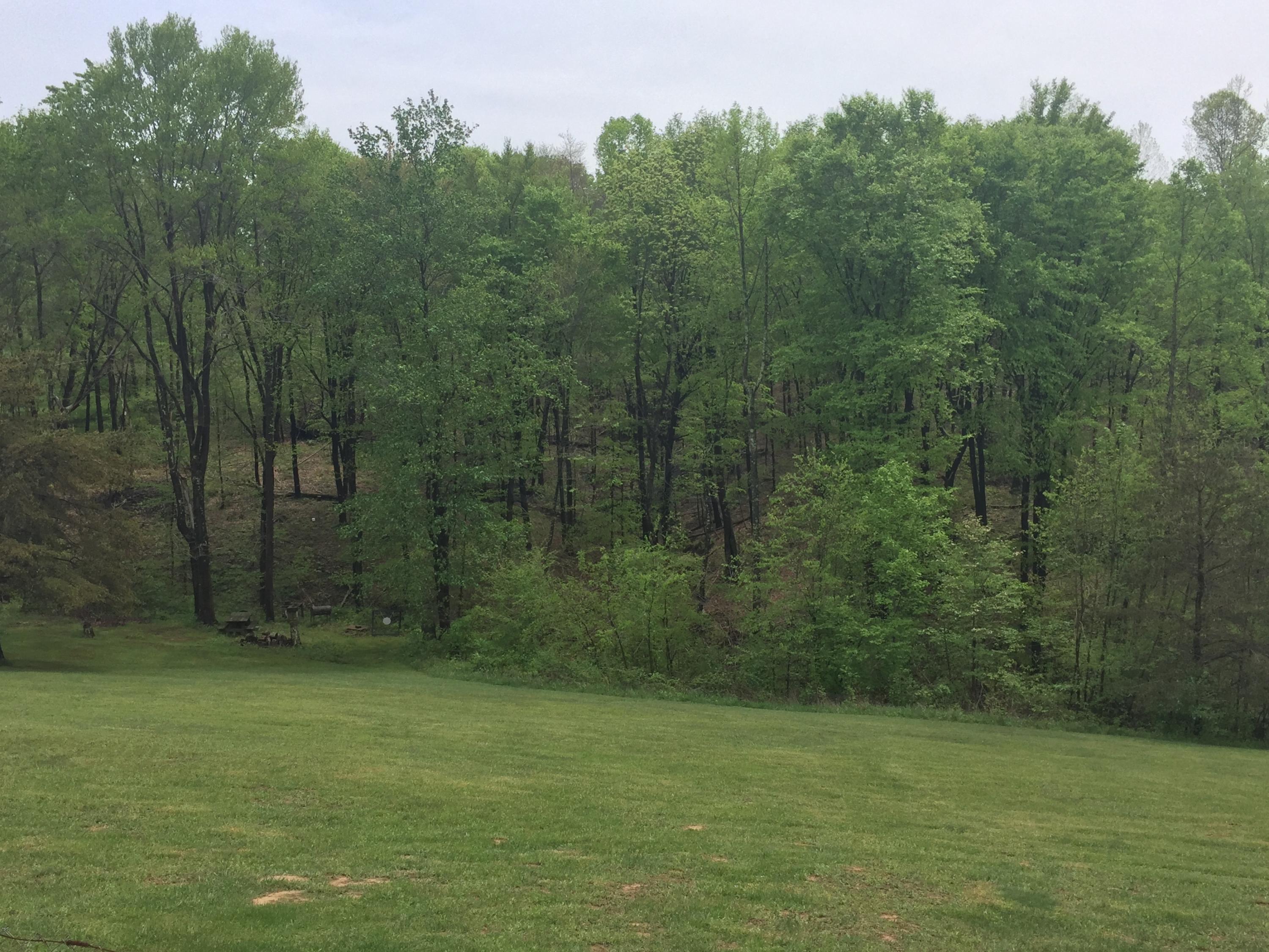 9121 Walnut Dowler Road Logan, OH 43138 - Photo 24 of 34