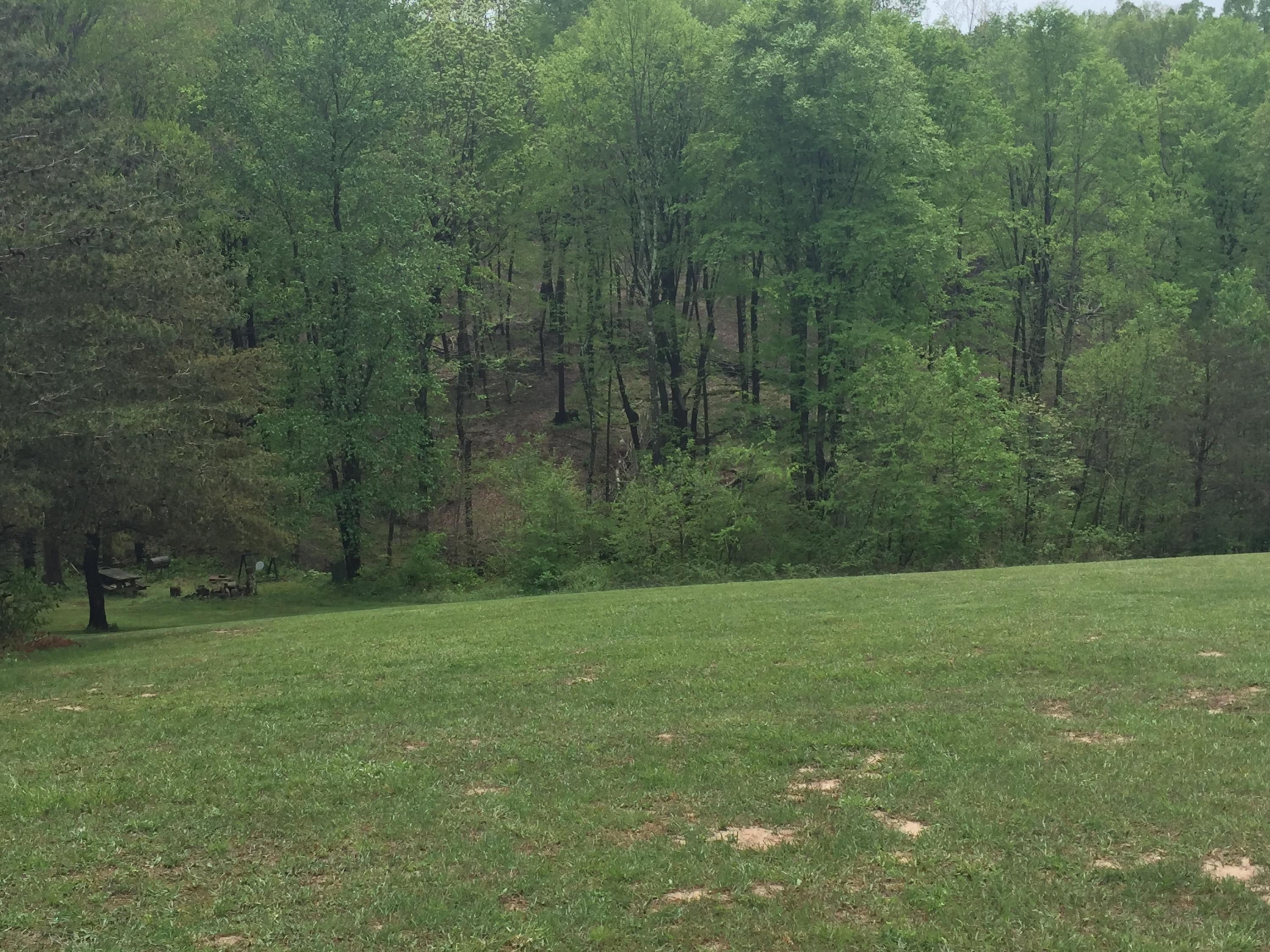 9121 Walnut Dowler Road Logan, OH 43138 - Photo 34 of 34