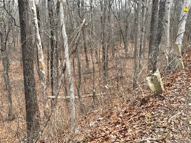 Lot 3 Gould Road Charlton, MA 01507 - Photo 3 of 4