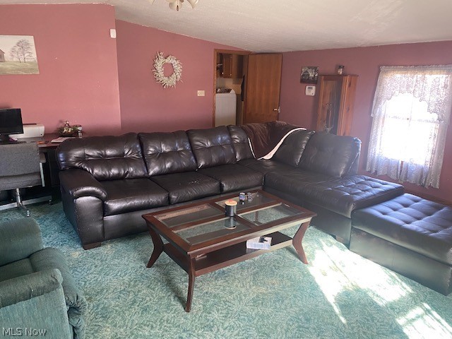 4981 Hardy Ridge Road Northwest Dundee, OH 44624 - Photo 7 of 19 Gallery Image 7