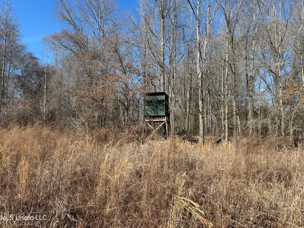 $244,195 | 1296 Scotland Road, Bentonia, MS 39040