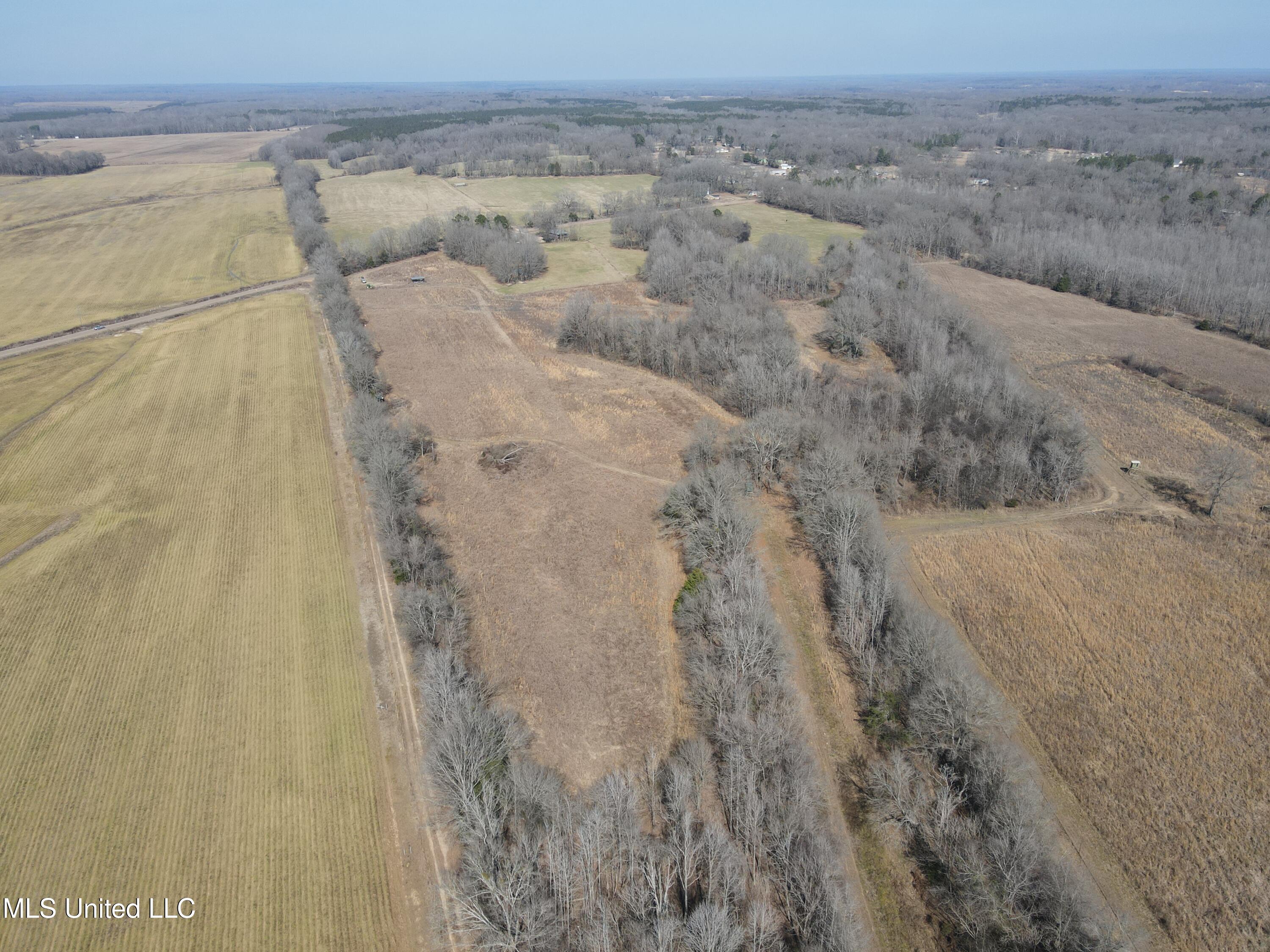 1296 Scotland Road Bentonia, MS 39040 - Photo 11 of 33 Photo Feb 09 2026, 1 04 26 PM