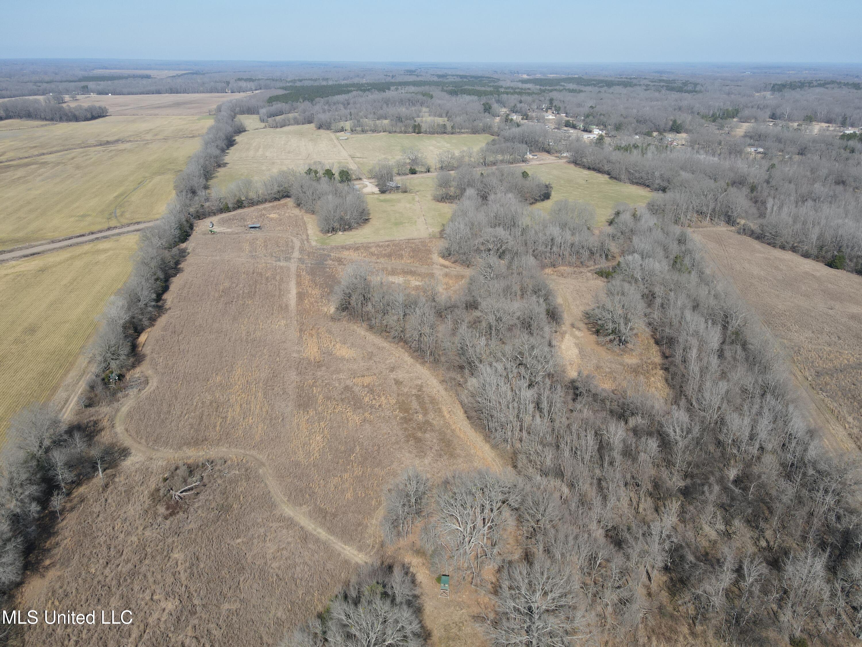 1296 Scotland Road Bentonia, MS 39040 - Photo 12 of 33 Photo Feb 09 2026, 1 04 45 PM