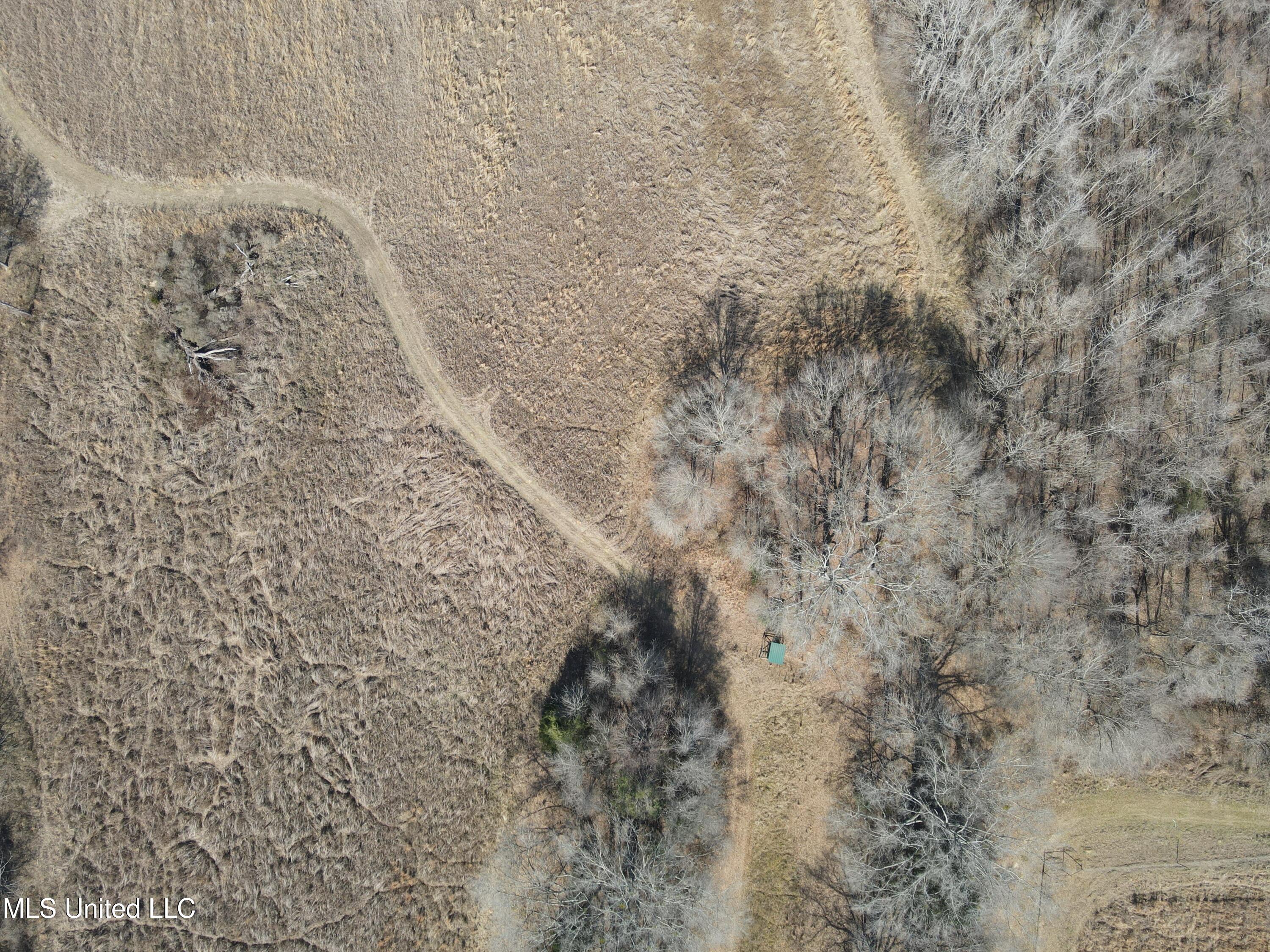 1296 Scotland Road Bentonia, MS 39040 - Photo 13 of 33 Photo Feb 09 2026, 1 04 57 PM