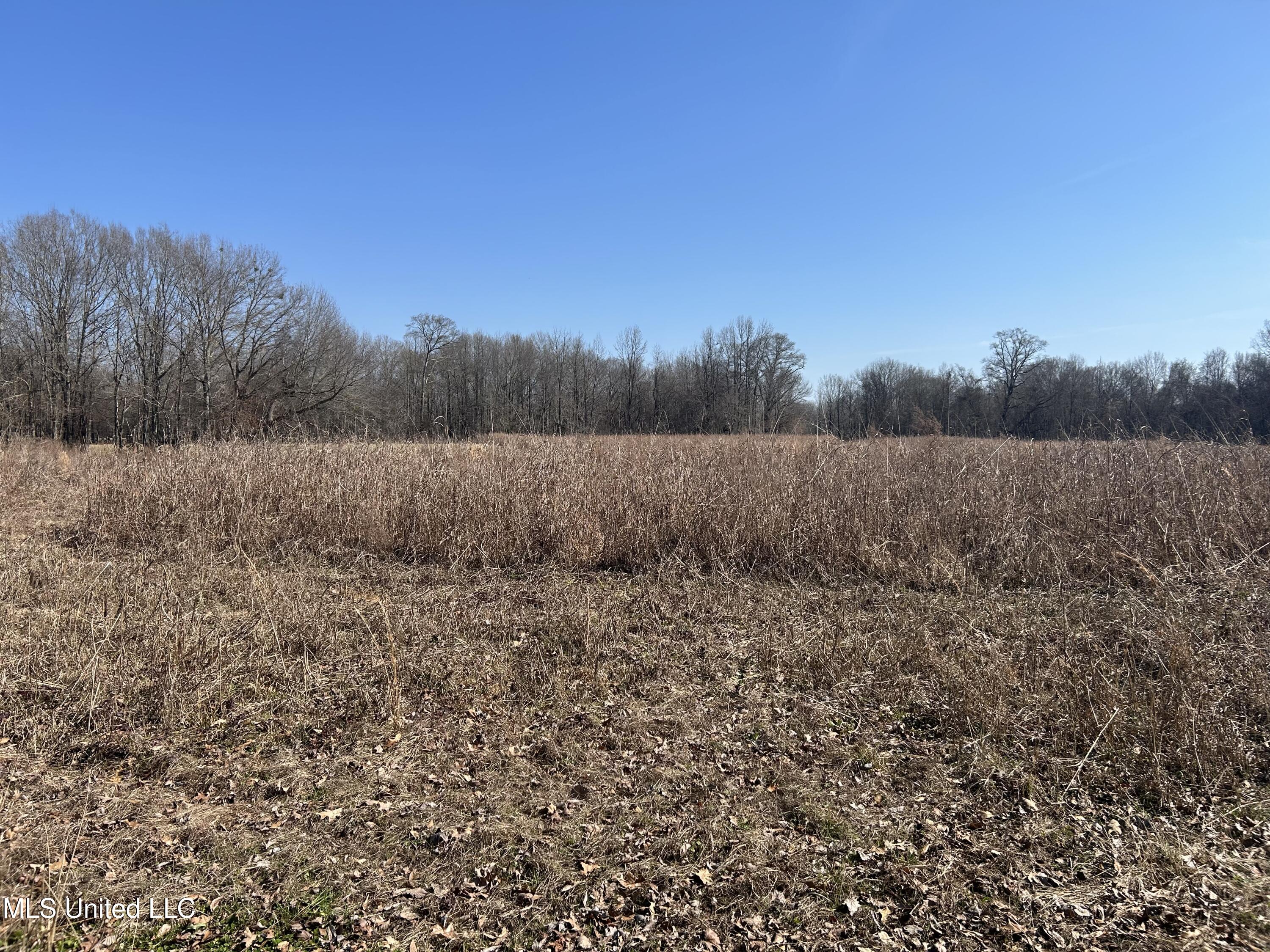 1296 Scotland Road Bentonia, MS 39040 - Photo 15 of 33 Photo Feb 09 2026, 1 11 05 PM