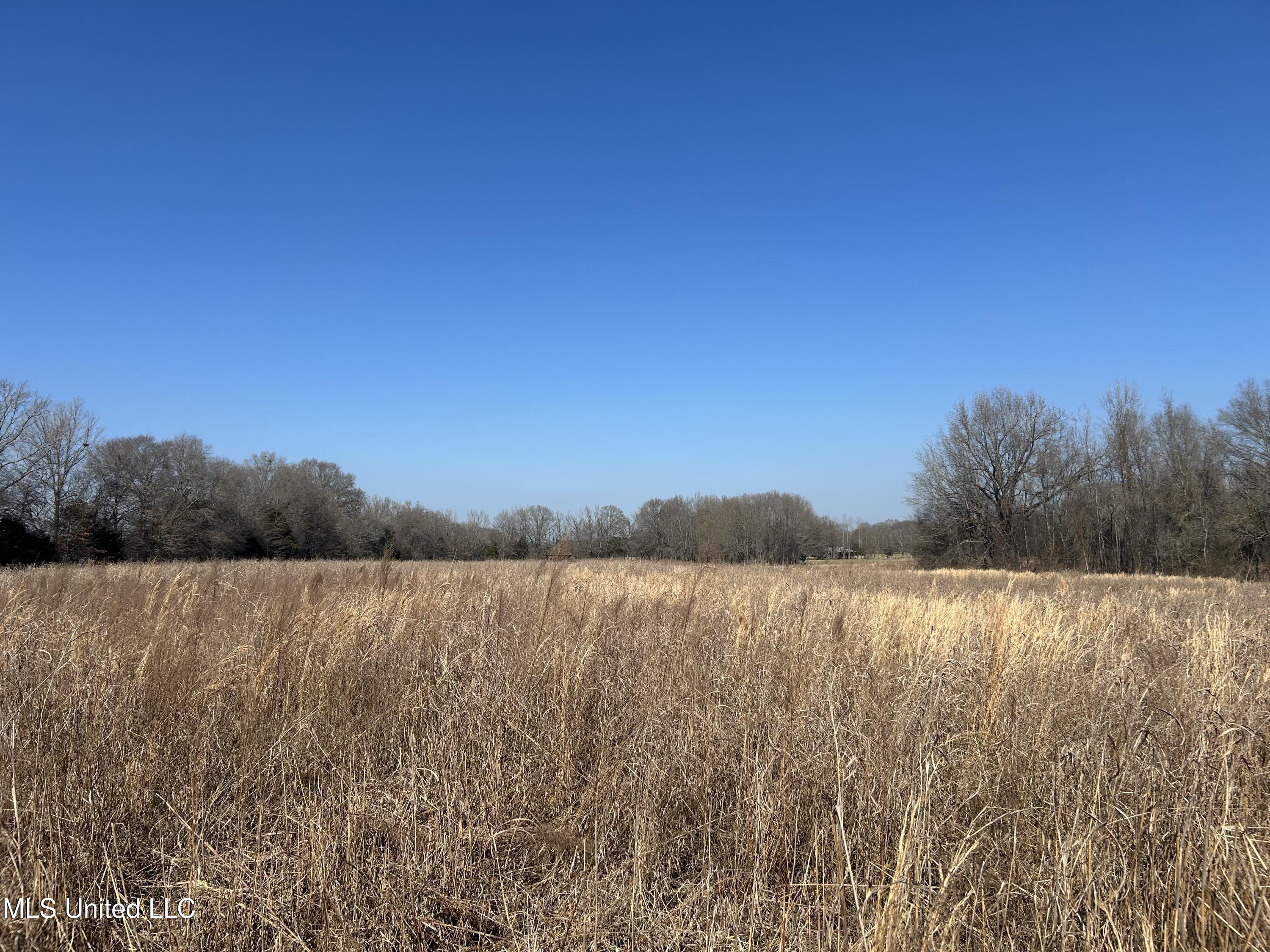 1296 Scotland Road Bentonia, MS 39040 - Photo 16 of 33 Photo Feb 09 2026, 1 12 06 PM