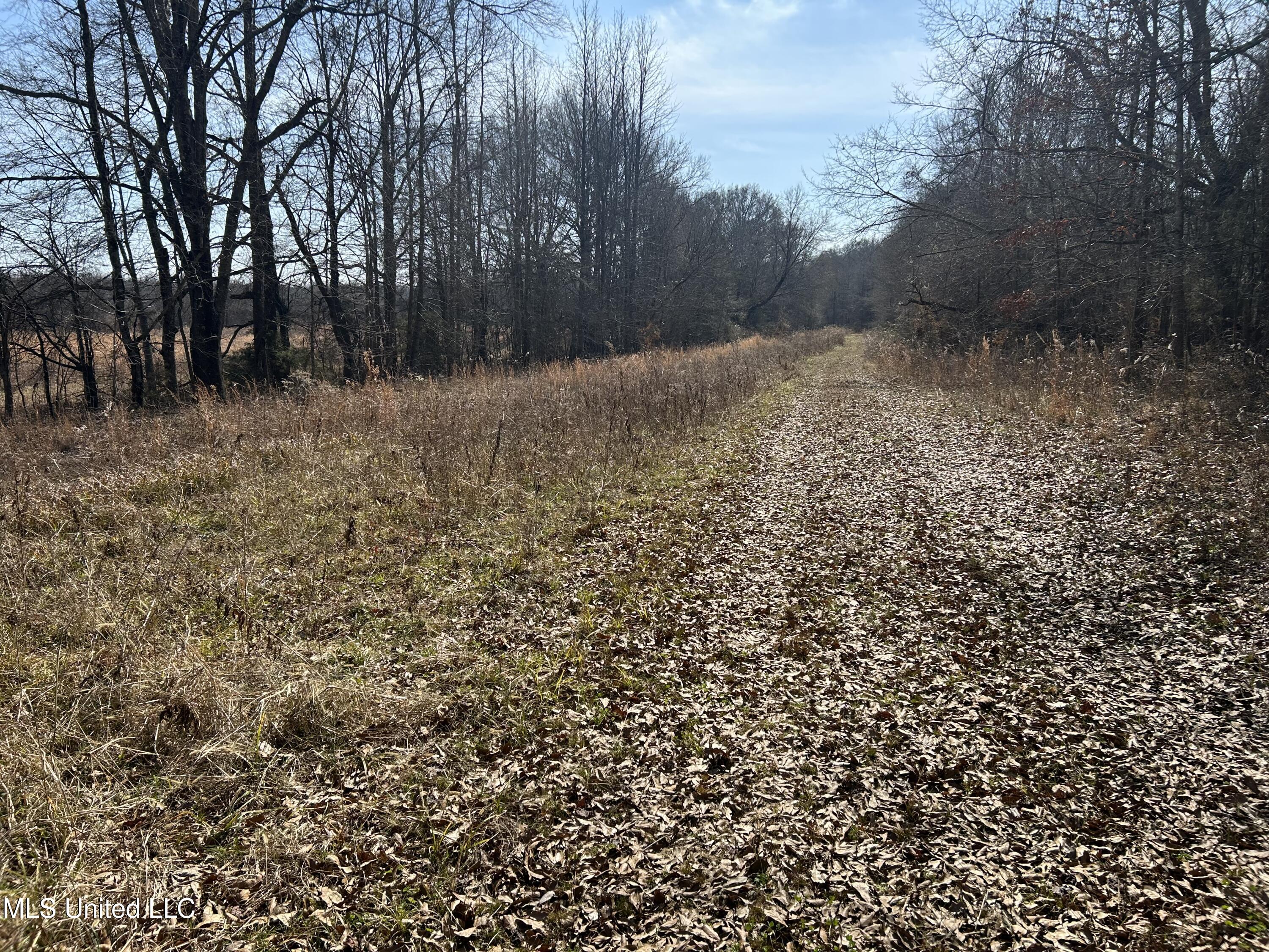 1296 Scotland Road Bentonia, MS 39040 - Photo 17 of 33 Photo Feb 09 2026, 1 12 50 PM