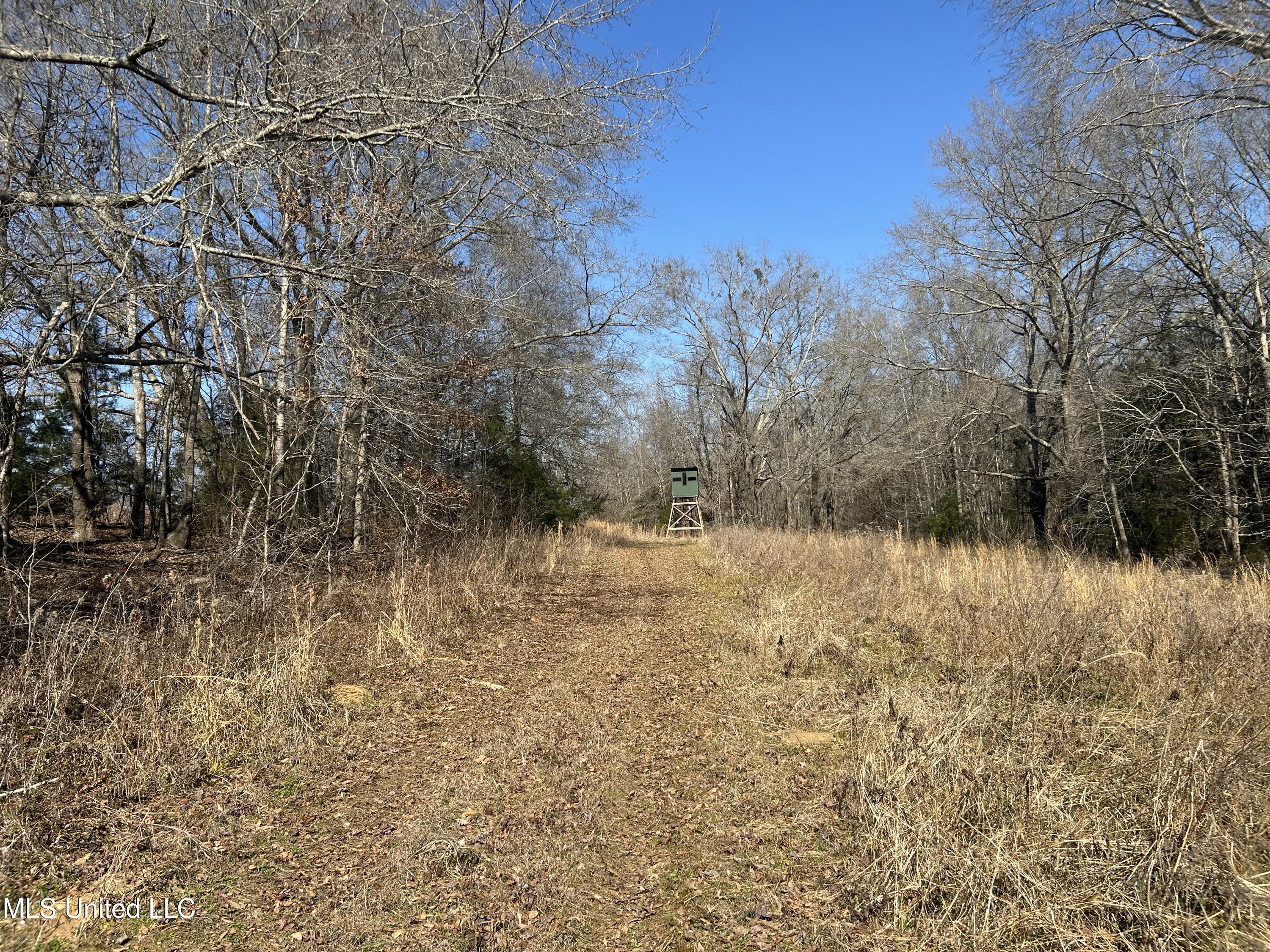 1296 Scotland Road Bentonia, MS 39040 - Photo 18 of 33 Photo Feb 09 2026, 1 14 53 PM