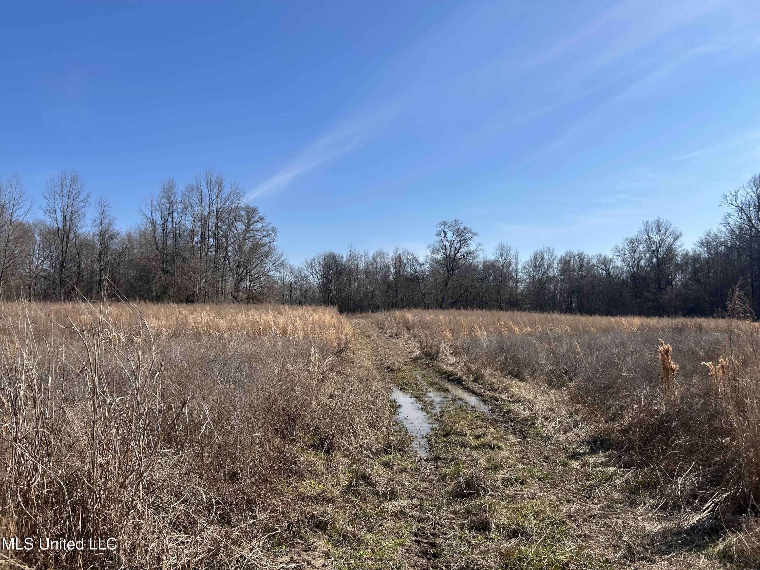 1296 Scotland Road Bentonia, MS 39040 - Photo 19 of 33 Photo Feb 09 2026, 1 31 17 PM