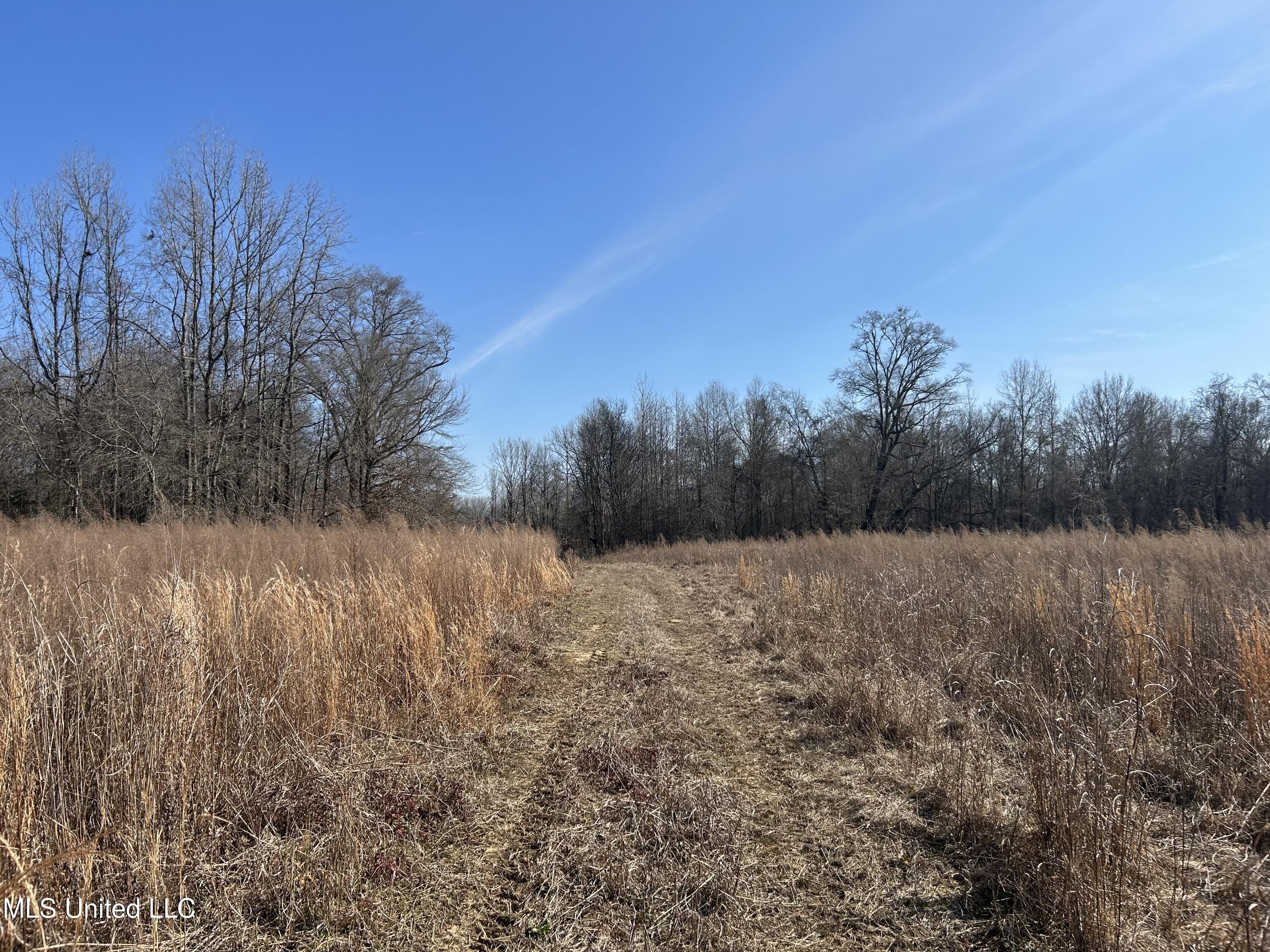 1296 Scotland Road Bentonia, MS 39040 - Photo 20 of 33 Photo Feb 09 2026, 1 31 36 PM