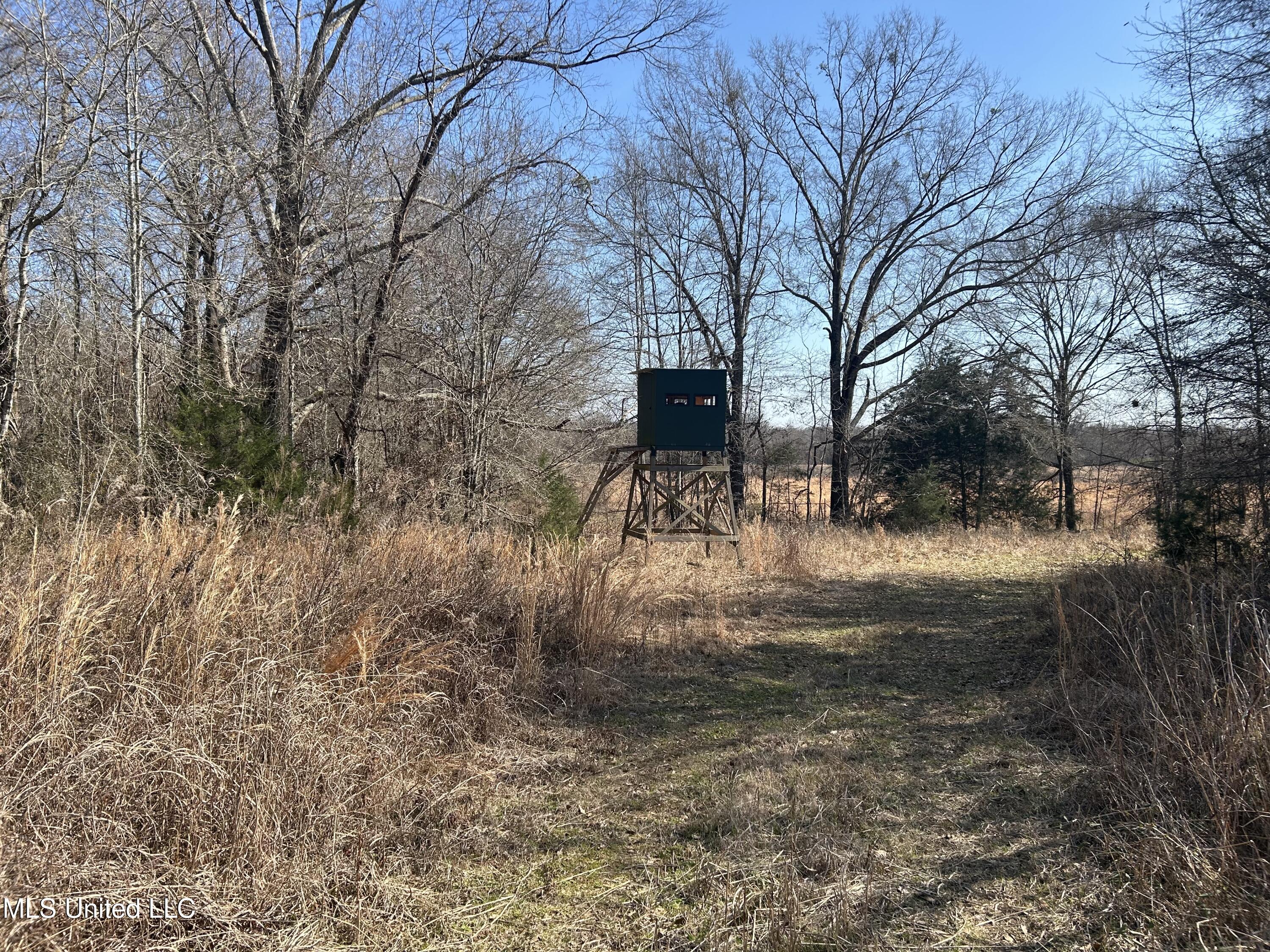 1296 Scotland Road Bentonia, MS 39040 - Photo 2 of 33 2