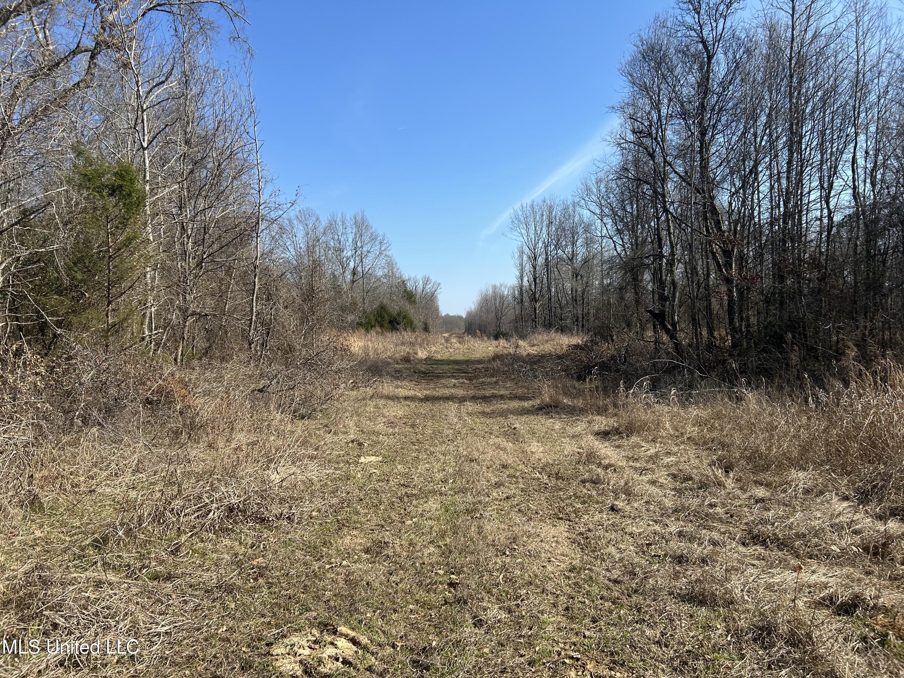 1296 Scotland Road Bentonia, MS 39040 - Photo 21 of 33 Photo Feb 09 2026, 1 32 00 PM