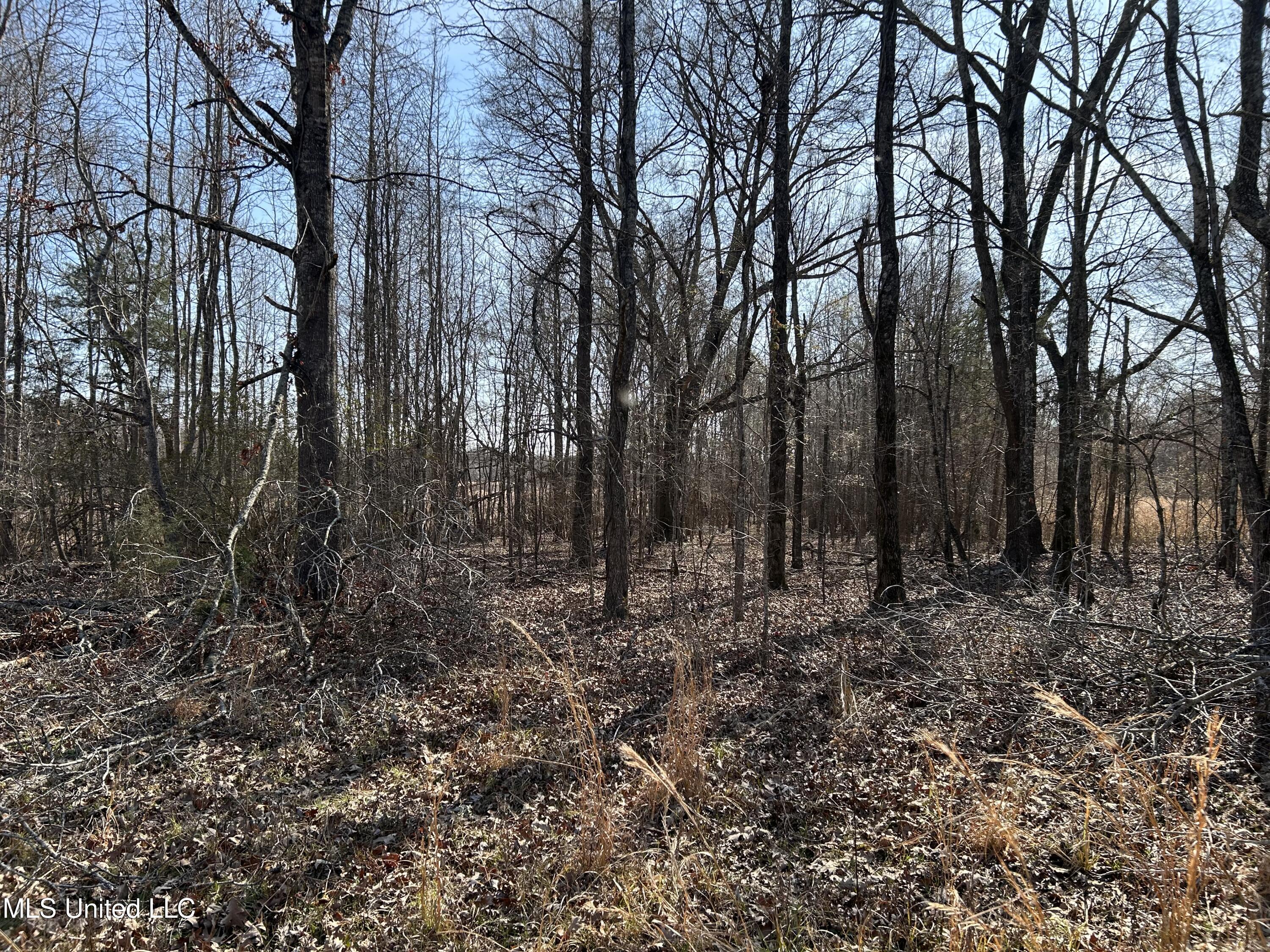 1296 Scotland Road Bentonia, MS 39040 - Photo 22 of 33 Photo Feb 09 2026, 1 33 42 PM