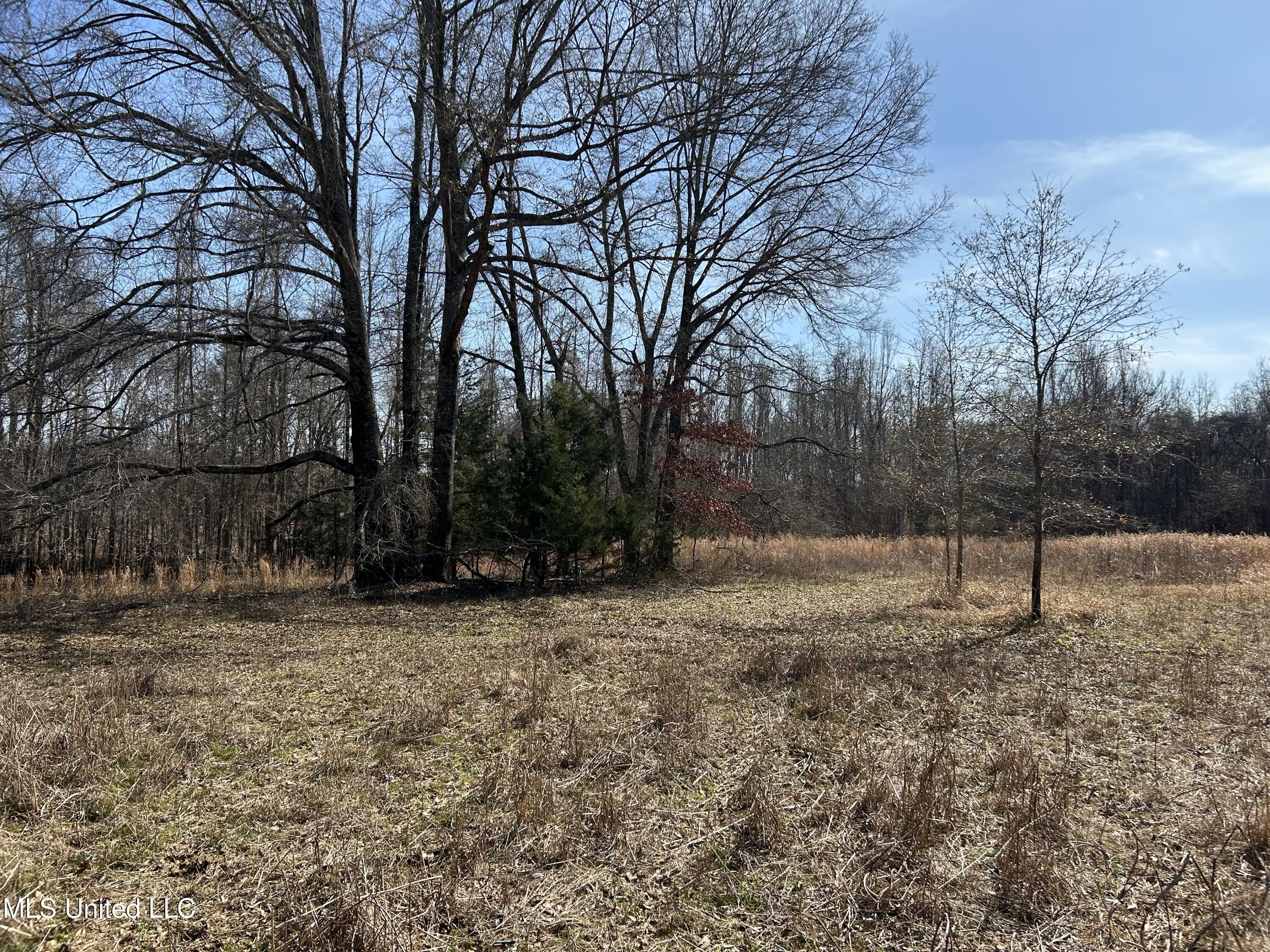 1296 Scotland Road Bentonia, MS 39040 - Photo 23 of 33 Photo Feb 09 2026, 1 34 19 PM