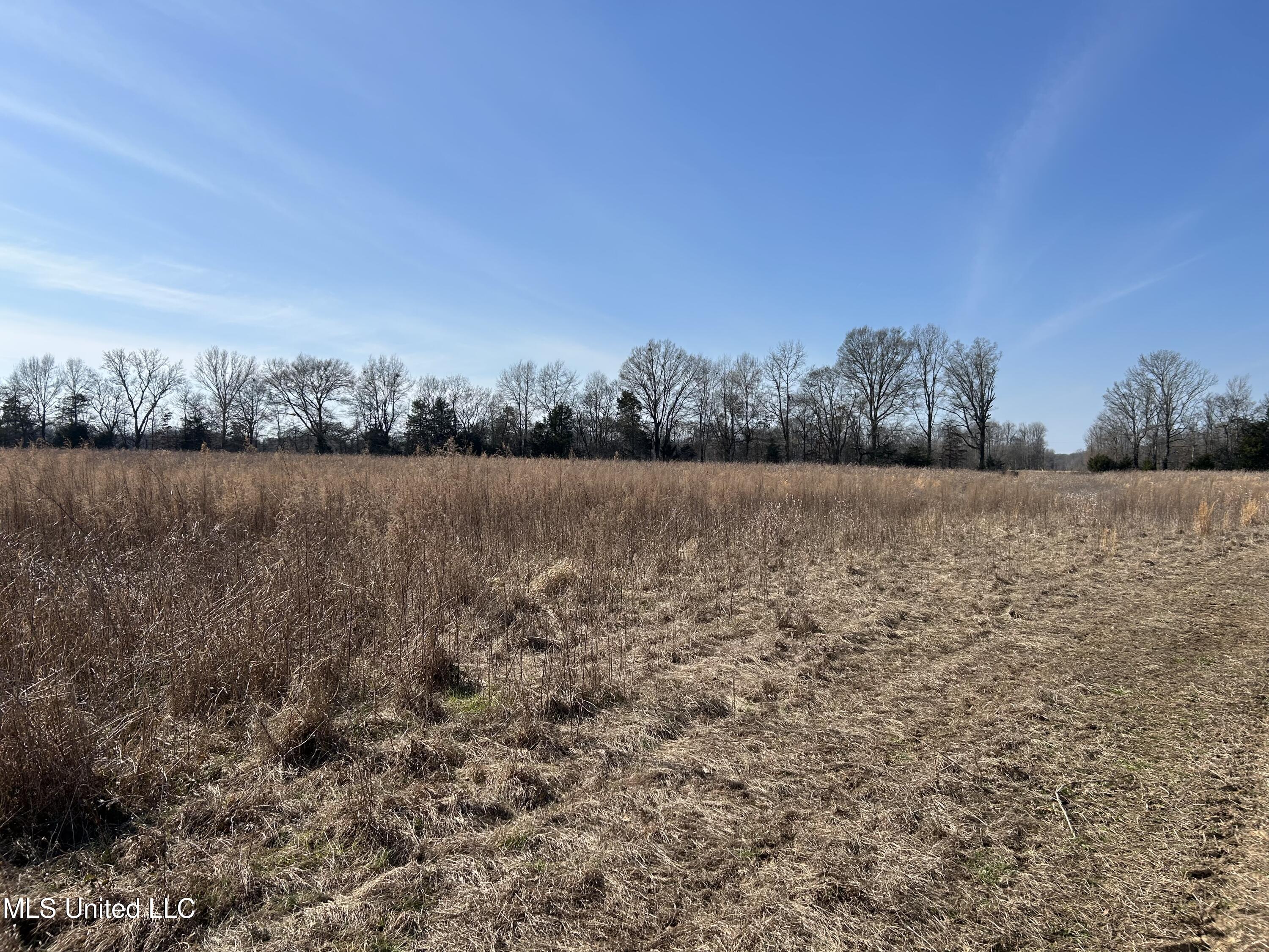 1296 Scotland Road Bentonia, MS 39040 - Photo 24 of 33 Photo Feb 09 2026, 1 35 40 PM