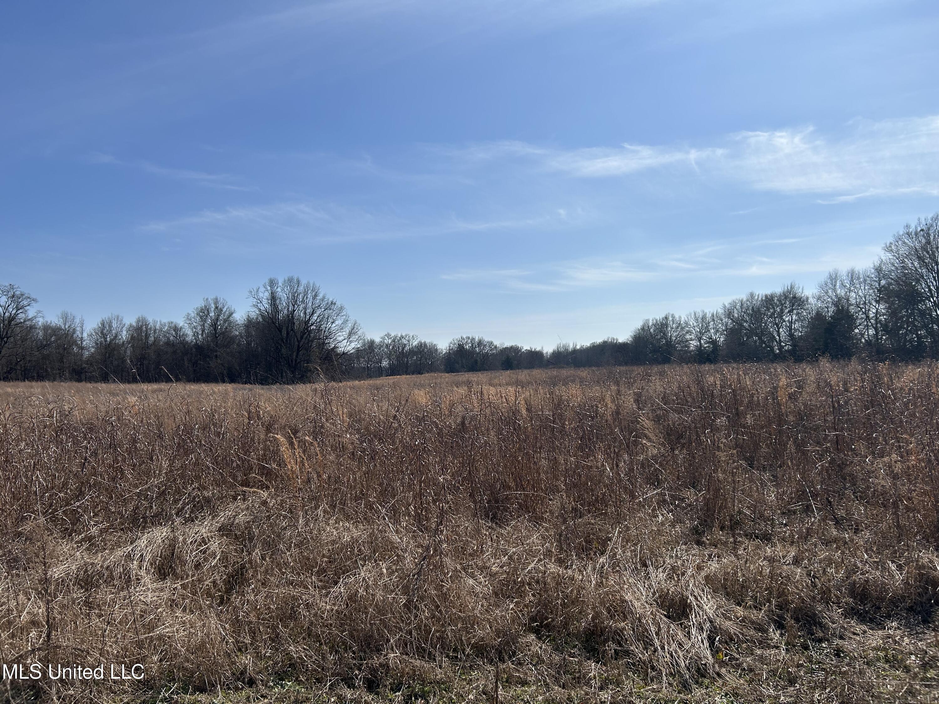 1296 Scotland Road Bentonia, MS 39040 - Photo 25 of 33 Photo Feb 09 2026, 1 36 31 PM