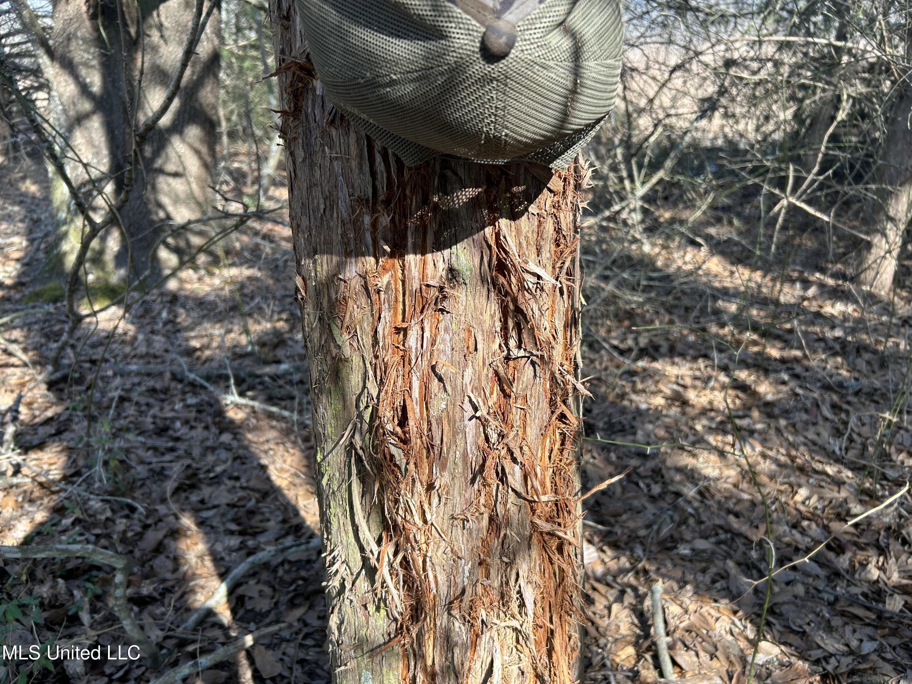 1296 Scotland Road Bentonia, MS 39040 - Photo 26 of 33 Photo Feb 09 2026, 1 37 59 PM