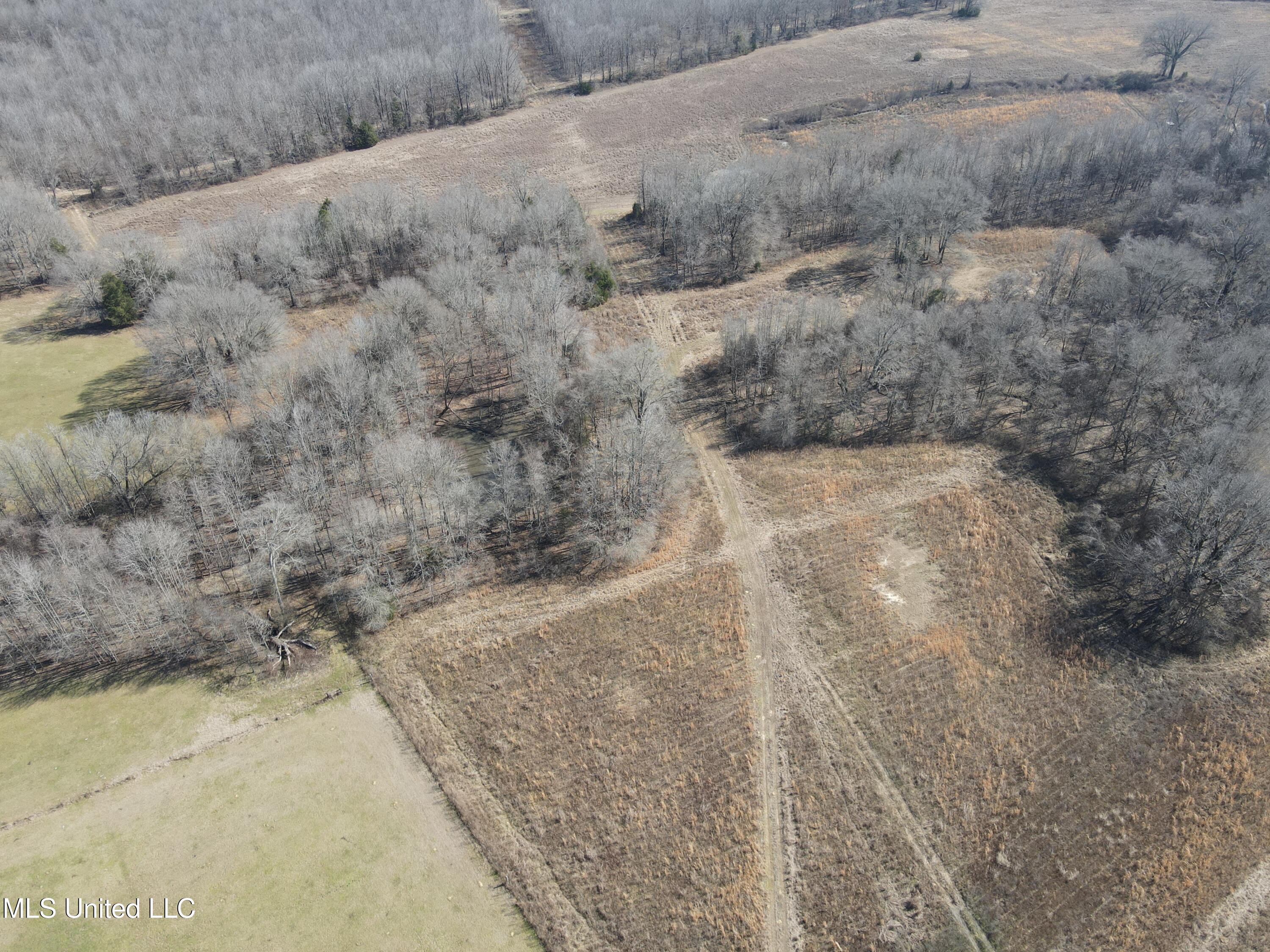 1296 Scotland Road Bentonia, MS 39040 - Photo 6 of 33 Photo Feb 09 2026, 1 02 13 PM
