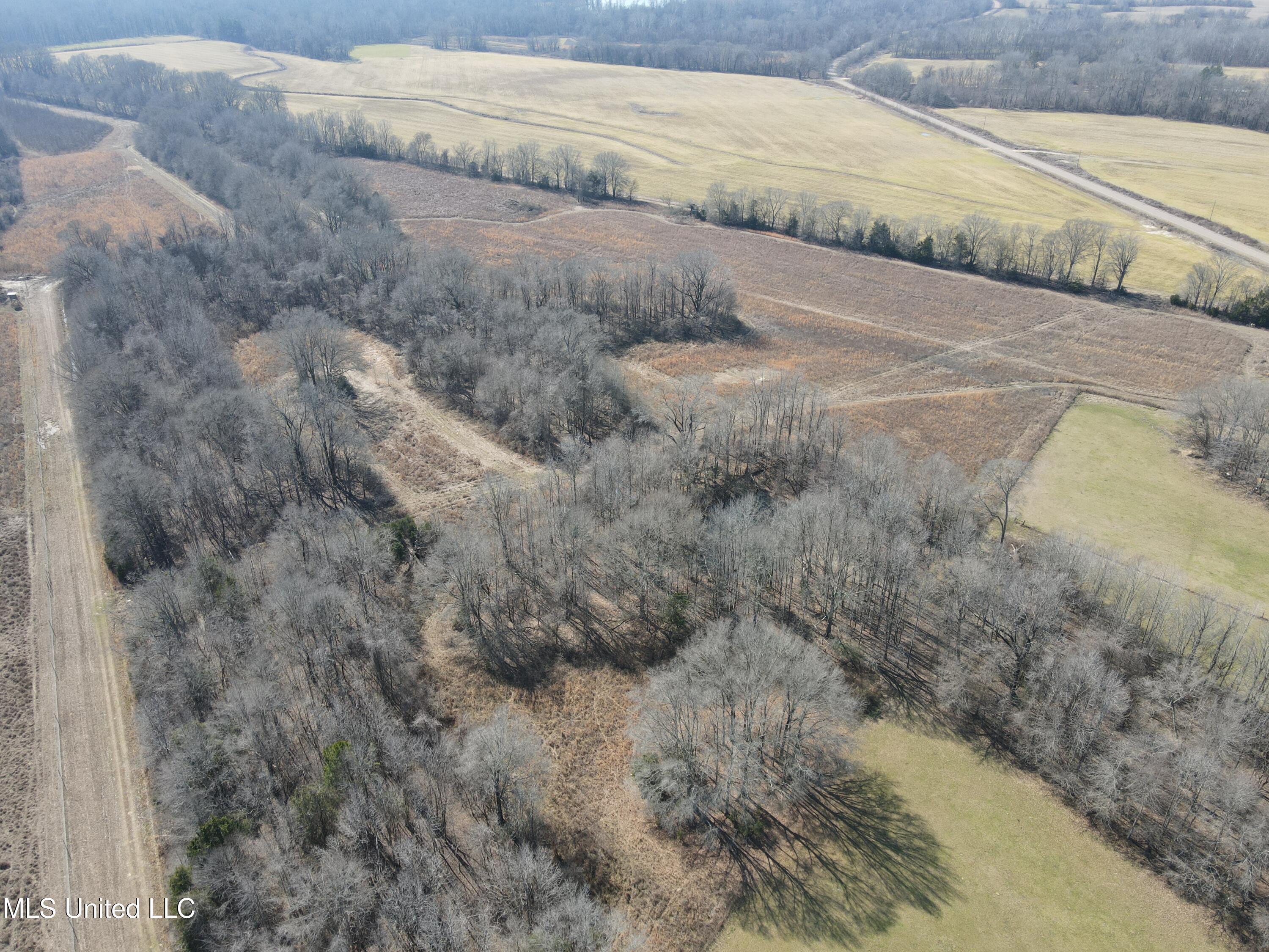 1296 Scotland Road Bentonia, MS 39040 - Photo 7 of 33 Photo Feb 09 2026, 1 02 51 PM