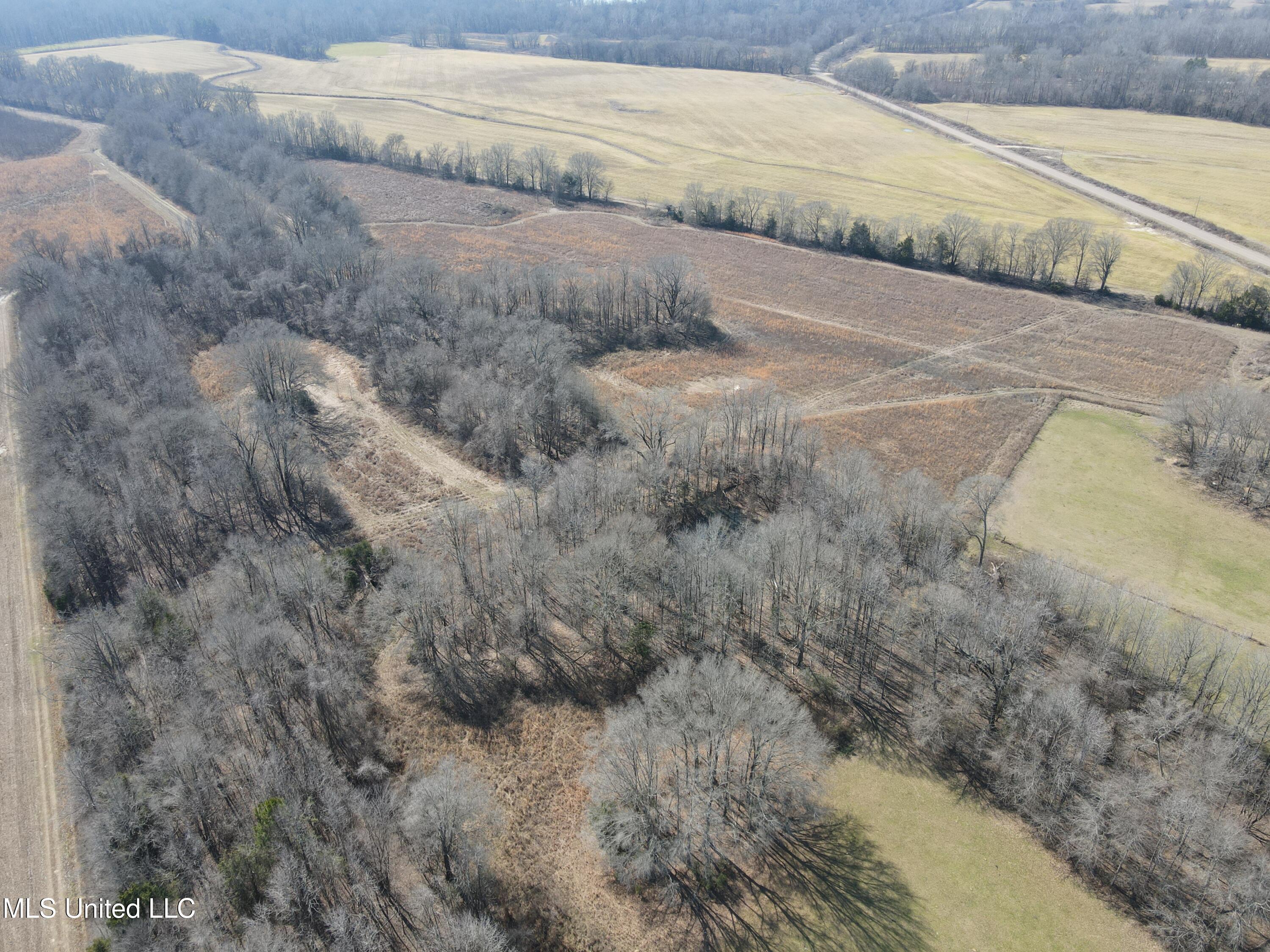 1296 Scotland Road Bentonia, MS 39040 - Photo 8 of 33 Photo Feb 09 2026, 1 03 00 PM