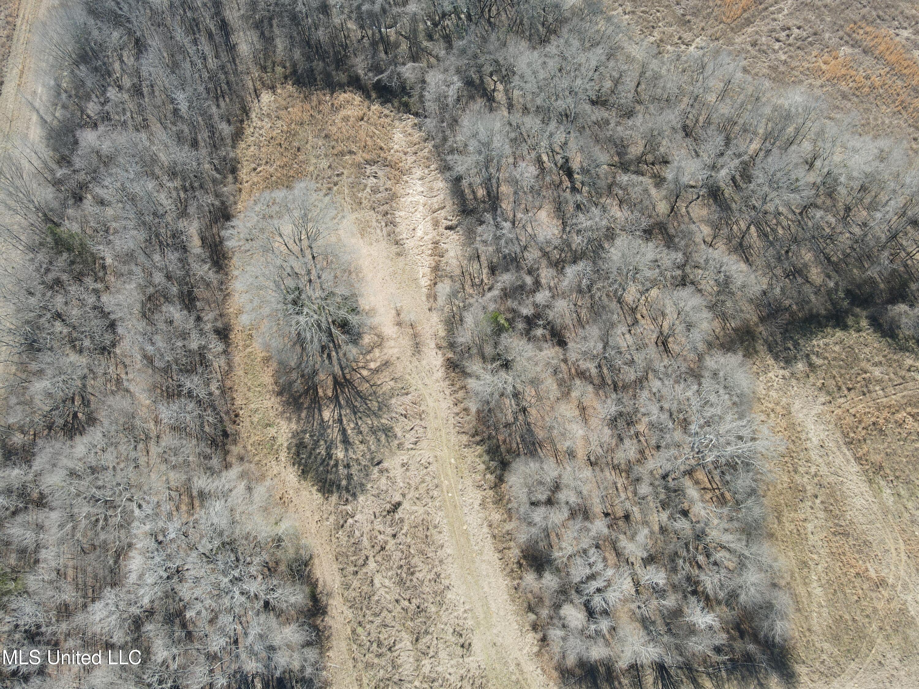 1296 Scotland Road Bentonia, MS 39040 - Photo 9 of 33 Photo Feb 09 2026, 1 03 29 PM