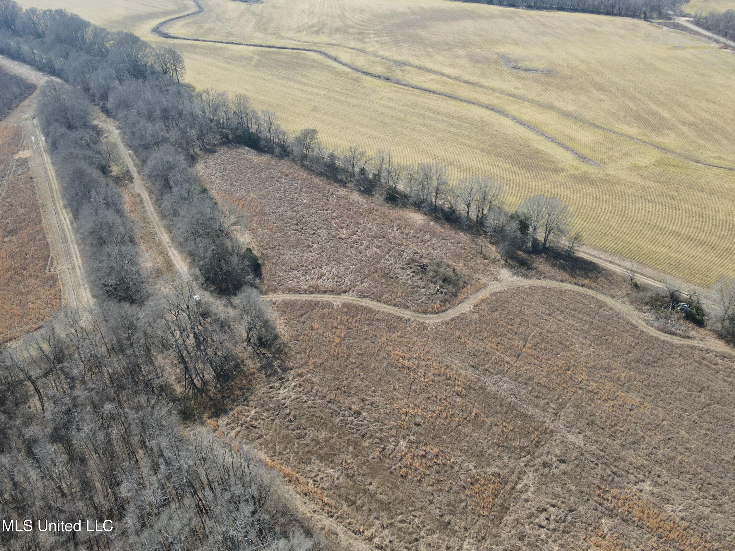 1296 Scotland Road Bentonia, MS 39040 - Photo 10 of 33 Photo Feb 09 2026, 1 03 37 PM