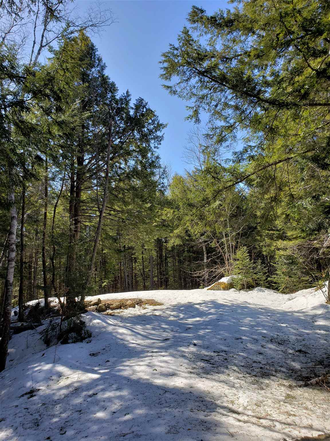 463 Highland Haven Road Washington, NH 03280 - Photo 13 of 24