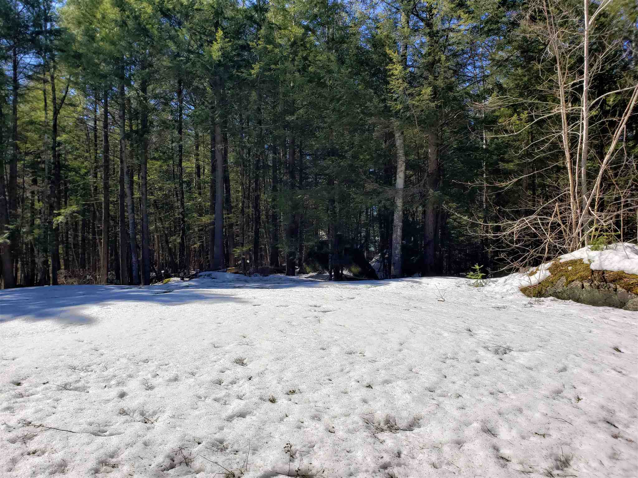 463 Highland Haven Road Washington, NH 03280 - Photo 19 of 24