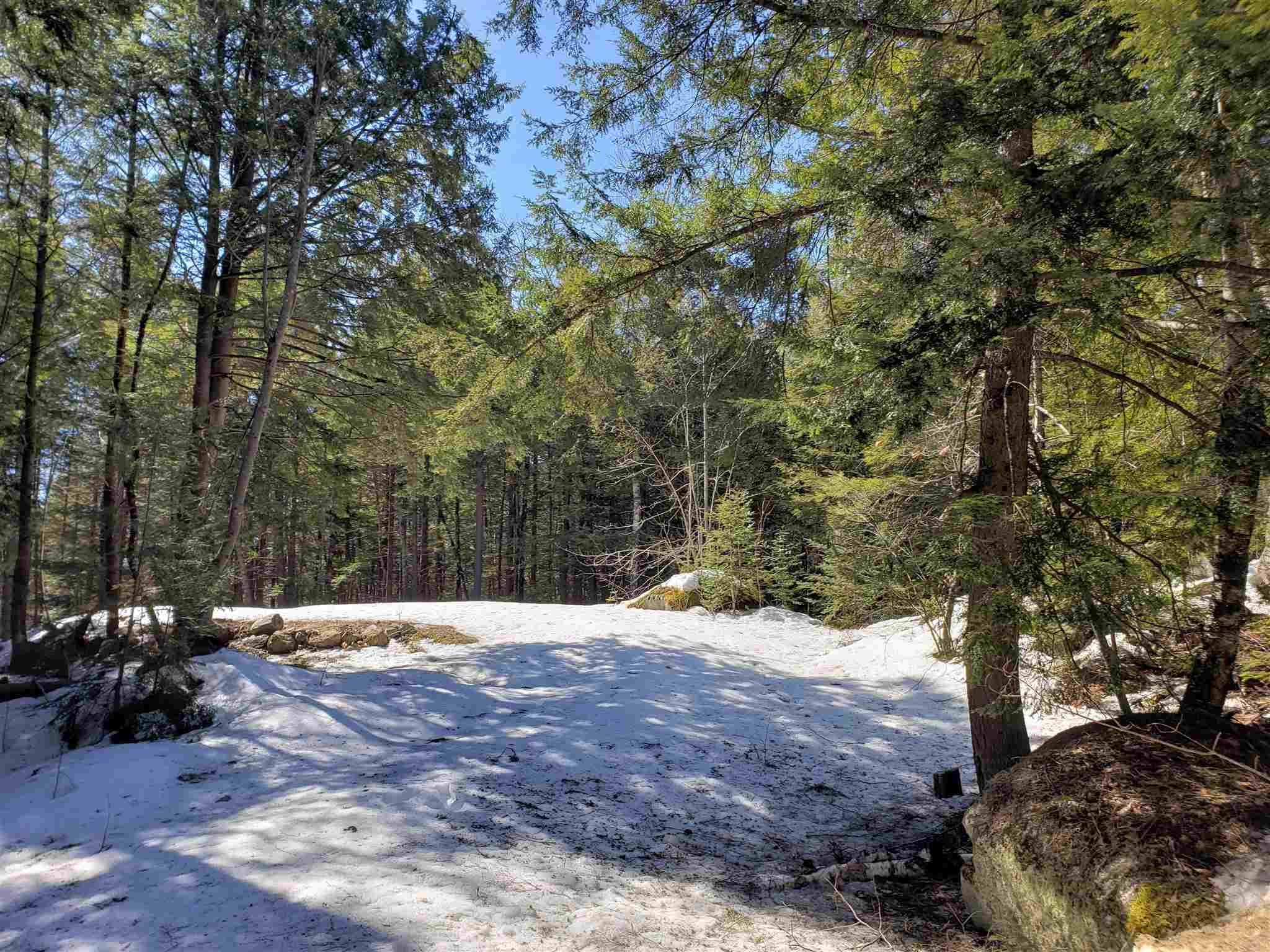 463 Highland Haven Road Washington, NH 03280 - Photo 2 of 24