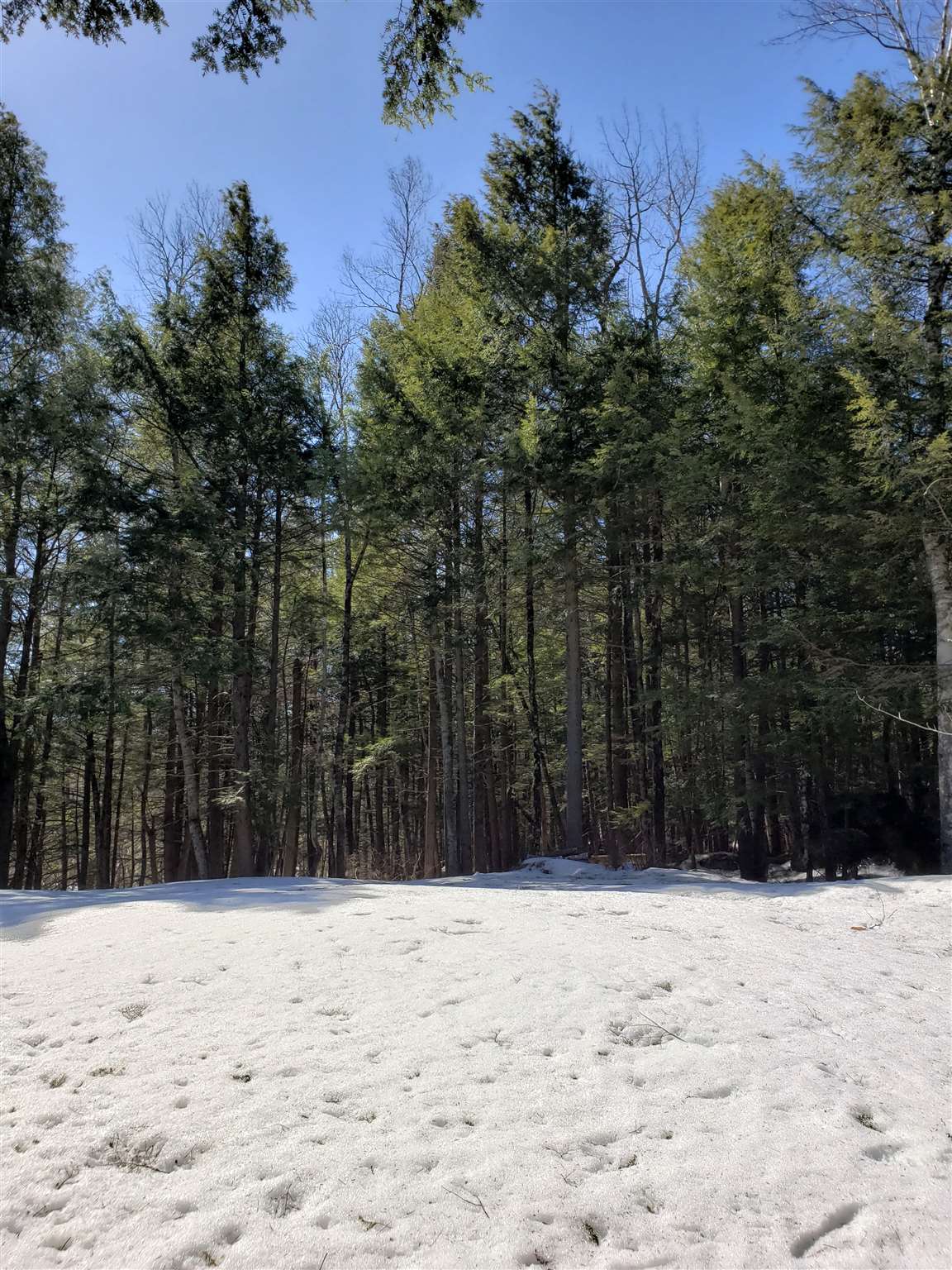 463 Highland Haven Road Washington, NH 03280 - Photo 22 of 24