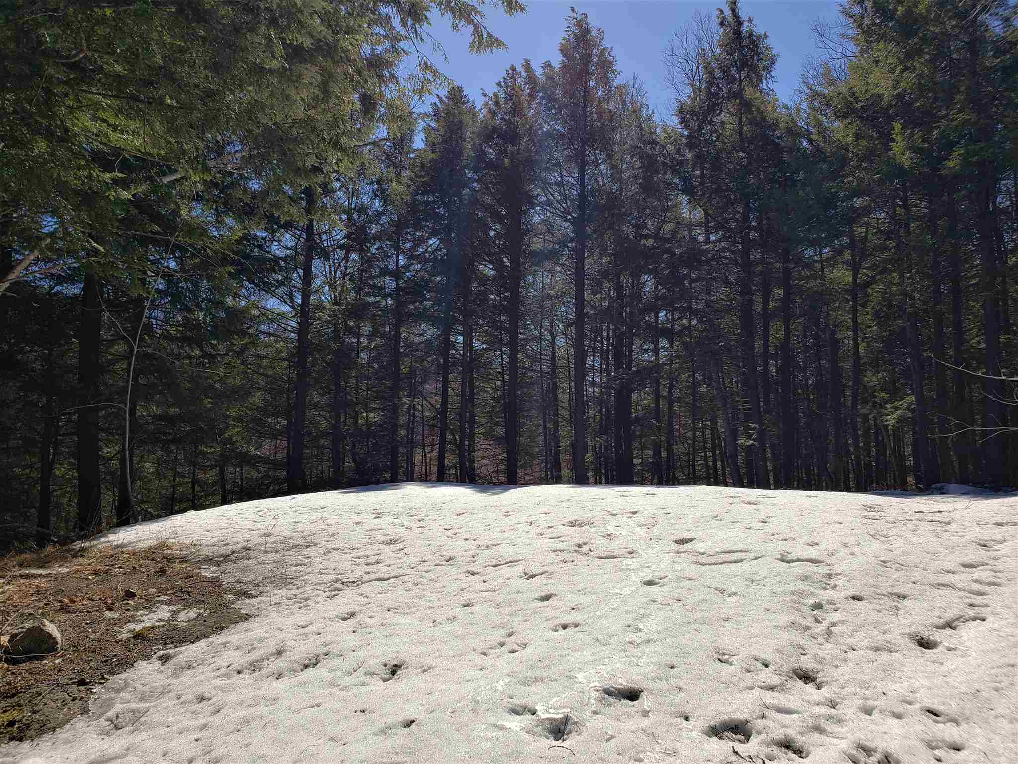 463 Highland Haven Road Washington, NH 03280 - Photo 23 of 24