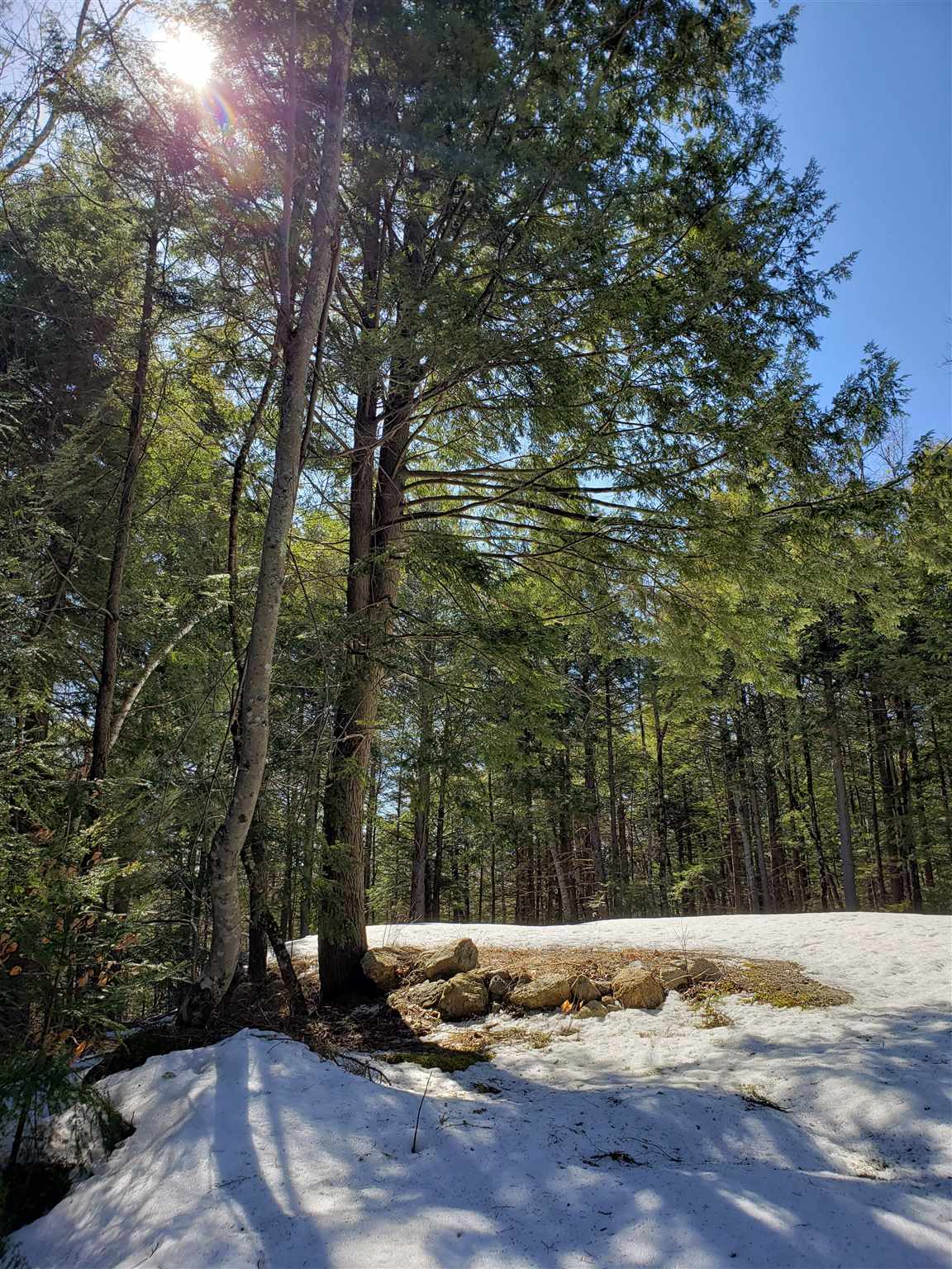463 Highland Haven Road Washington, NH 03280 - Photo 24 of 24