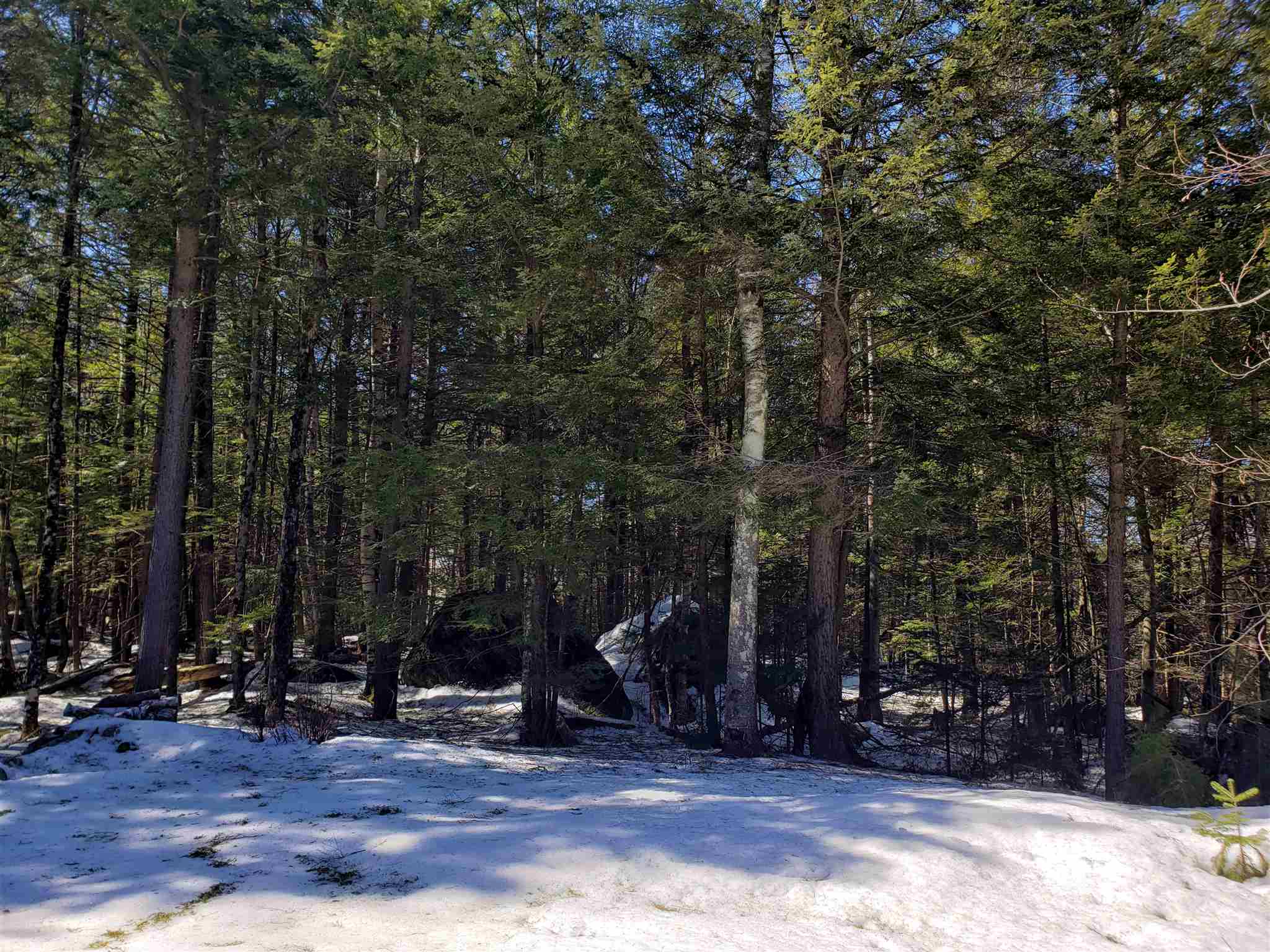 463 Highland Haven Road Washington, NH 03280 - Photo 3 of 24